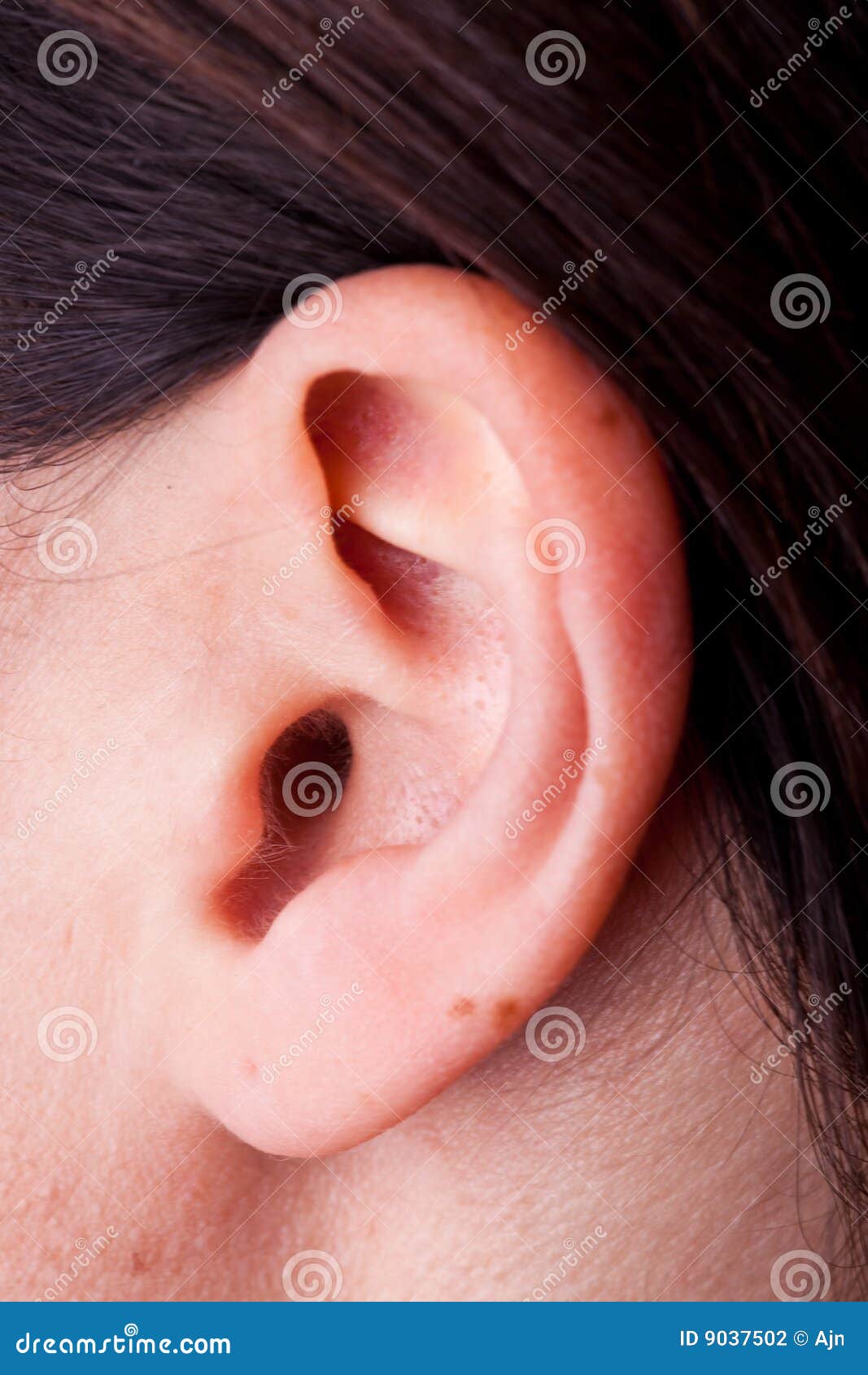 female ear #10