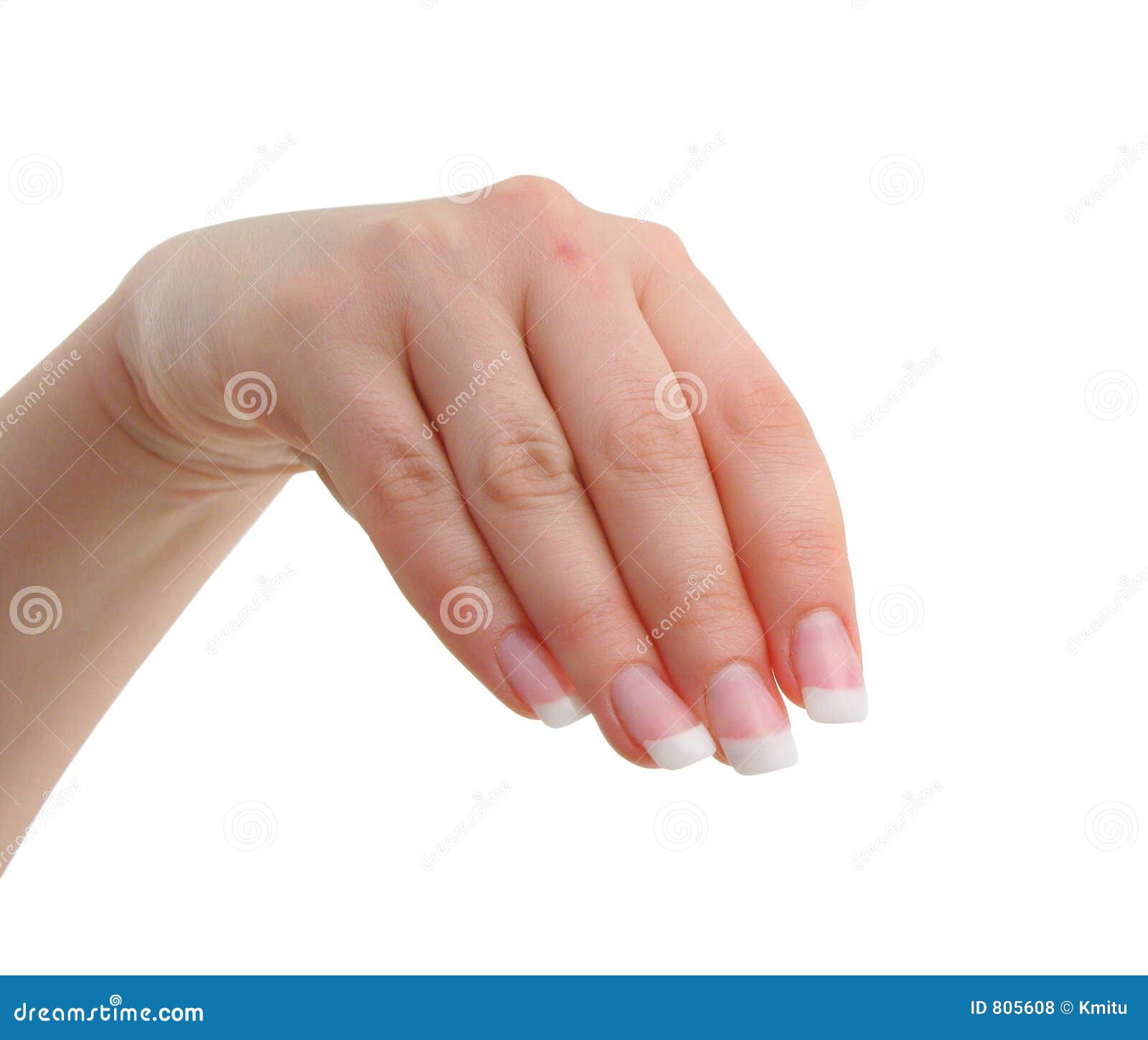 Female Manicured Hand Royalty Free Stock Photos - Image: 805608