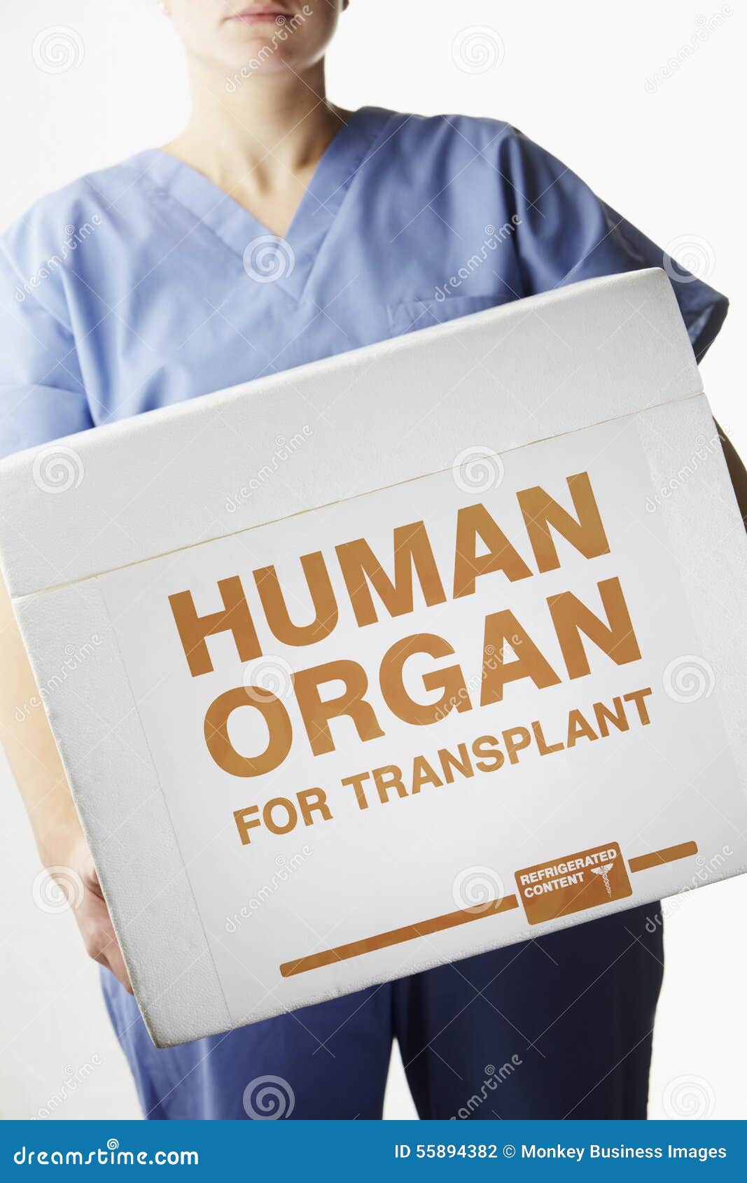 Writing Abstracts For Organ Donation Argumentative Essay On Organ Donation Research Creative Writing Prompts Gifted Students