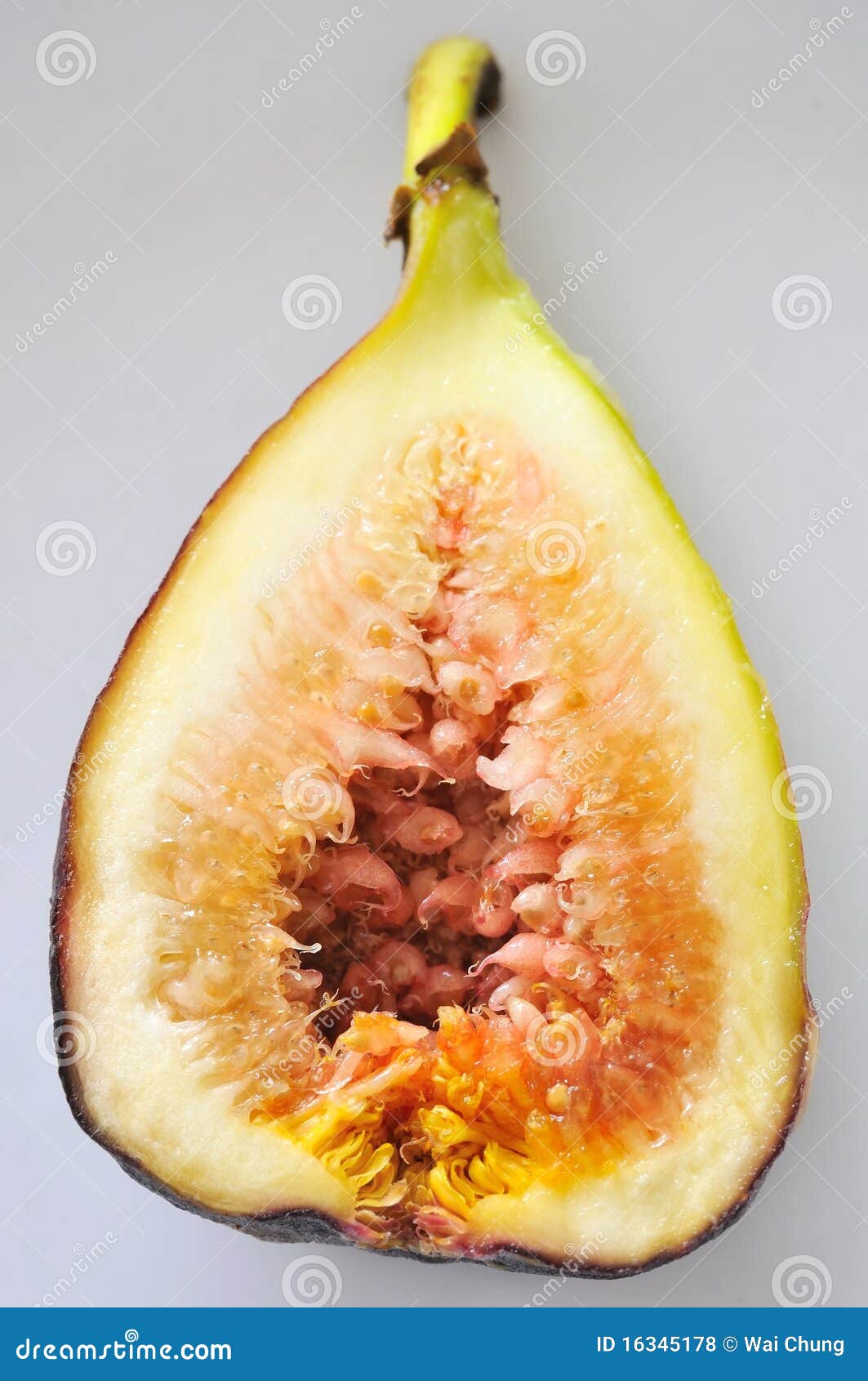 fig fruit cut in half royalty free stock photos image 16345178 fig fruit cut in half royalty free stock photos image 16345178
