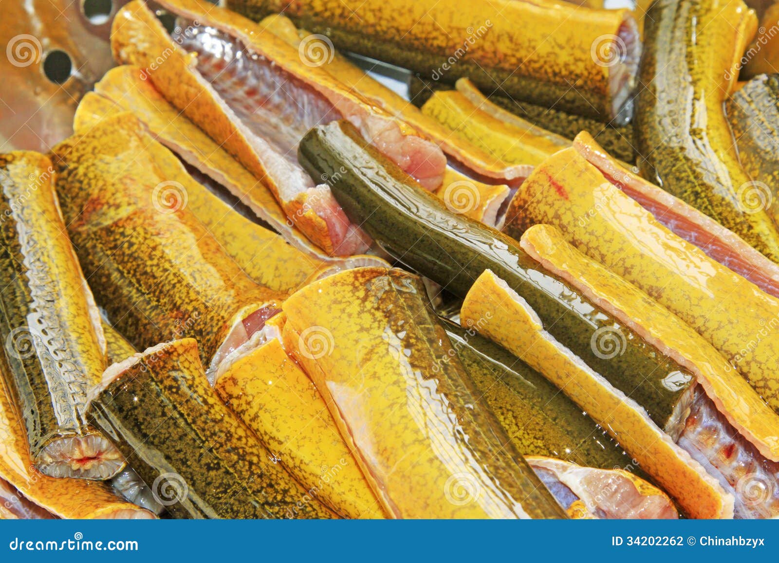Finless Eel Section Ready For Cooking Stock Photography Image 34202262