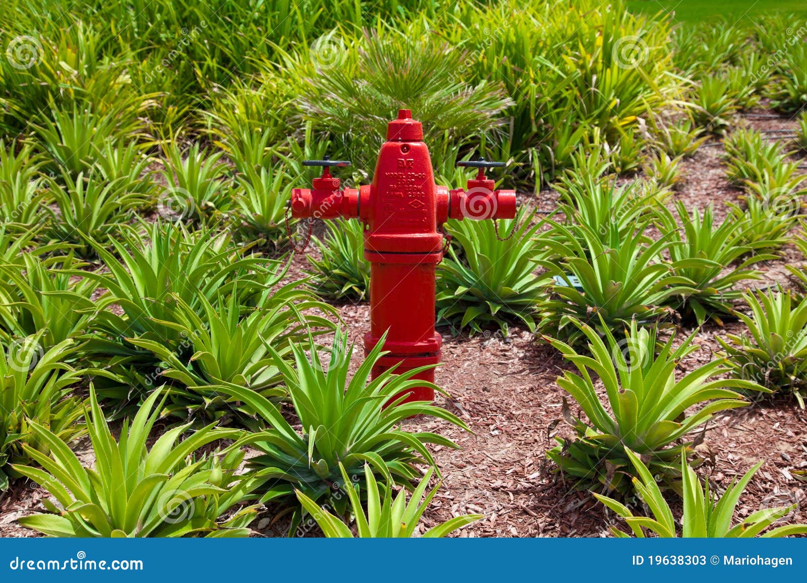 Fire Water Hydrant Stock Photos Image 19638303