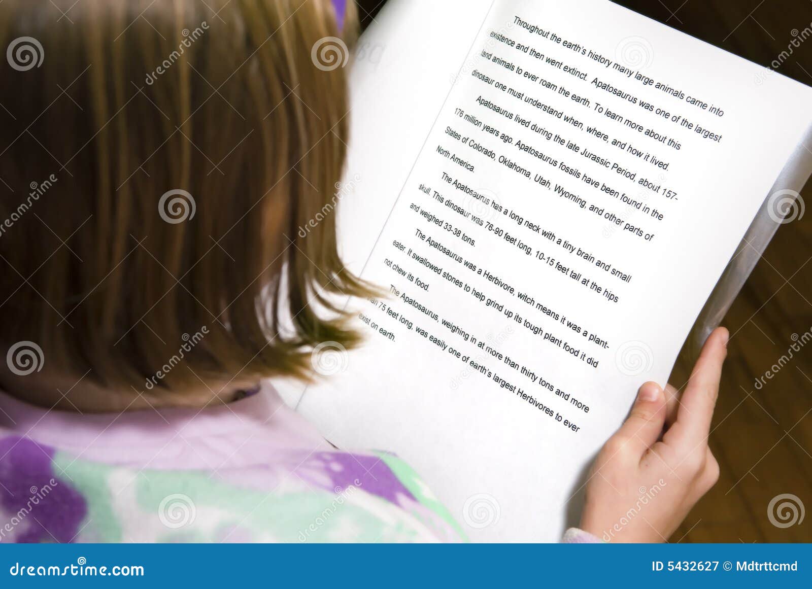 photography term paper photography term paper