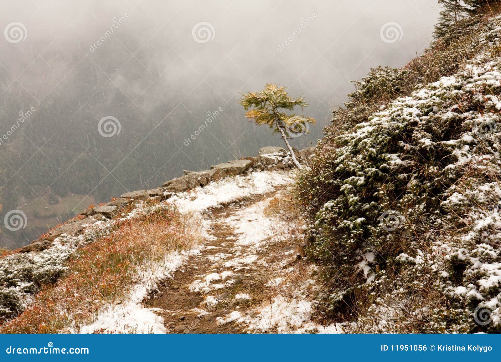 clipart snow drifts - photo #44