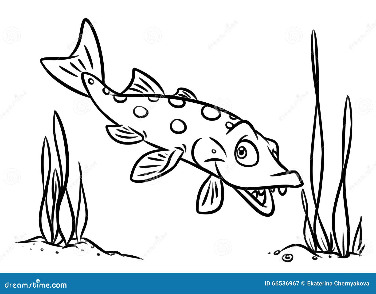 walleye coloring pages - photo #40