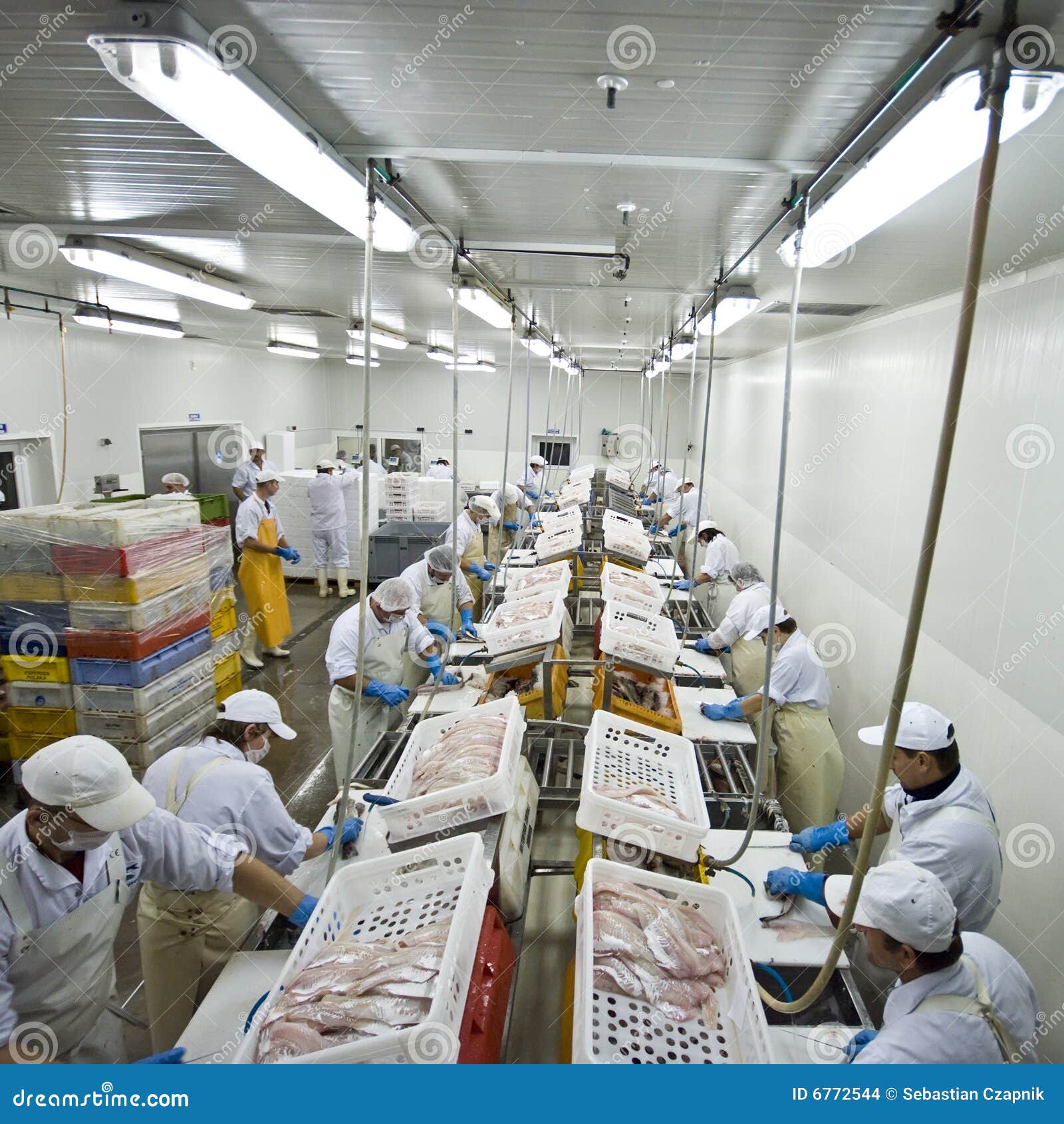 fish-processing-factory-6772544.jpg