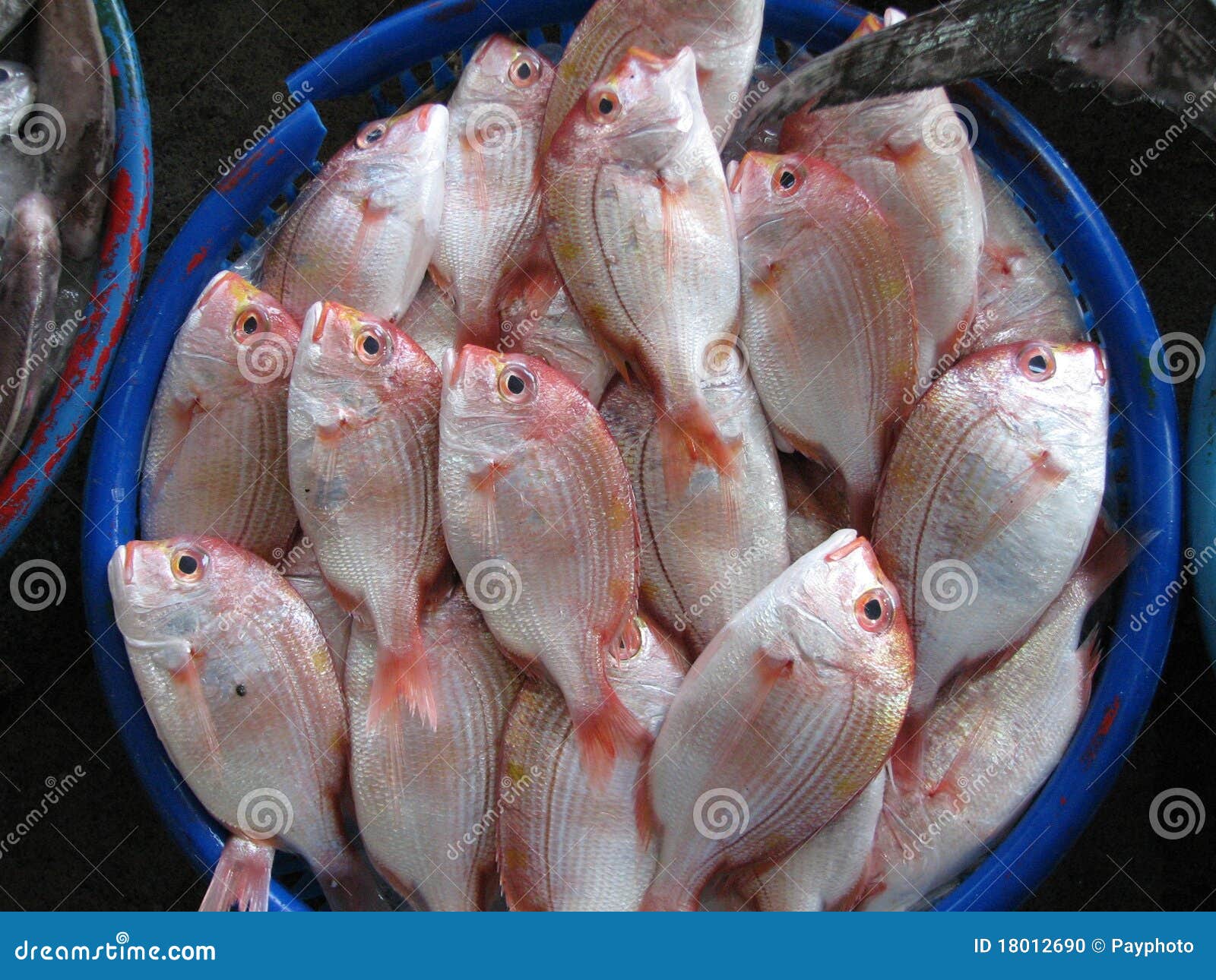 Fish For Sale Stock Photo - Image: 18012690
