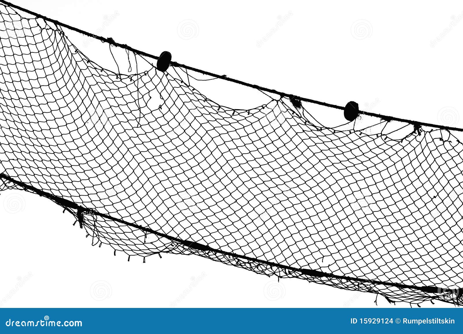 clipart fish net - photo #18