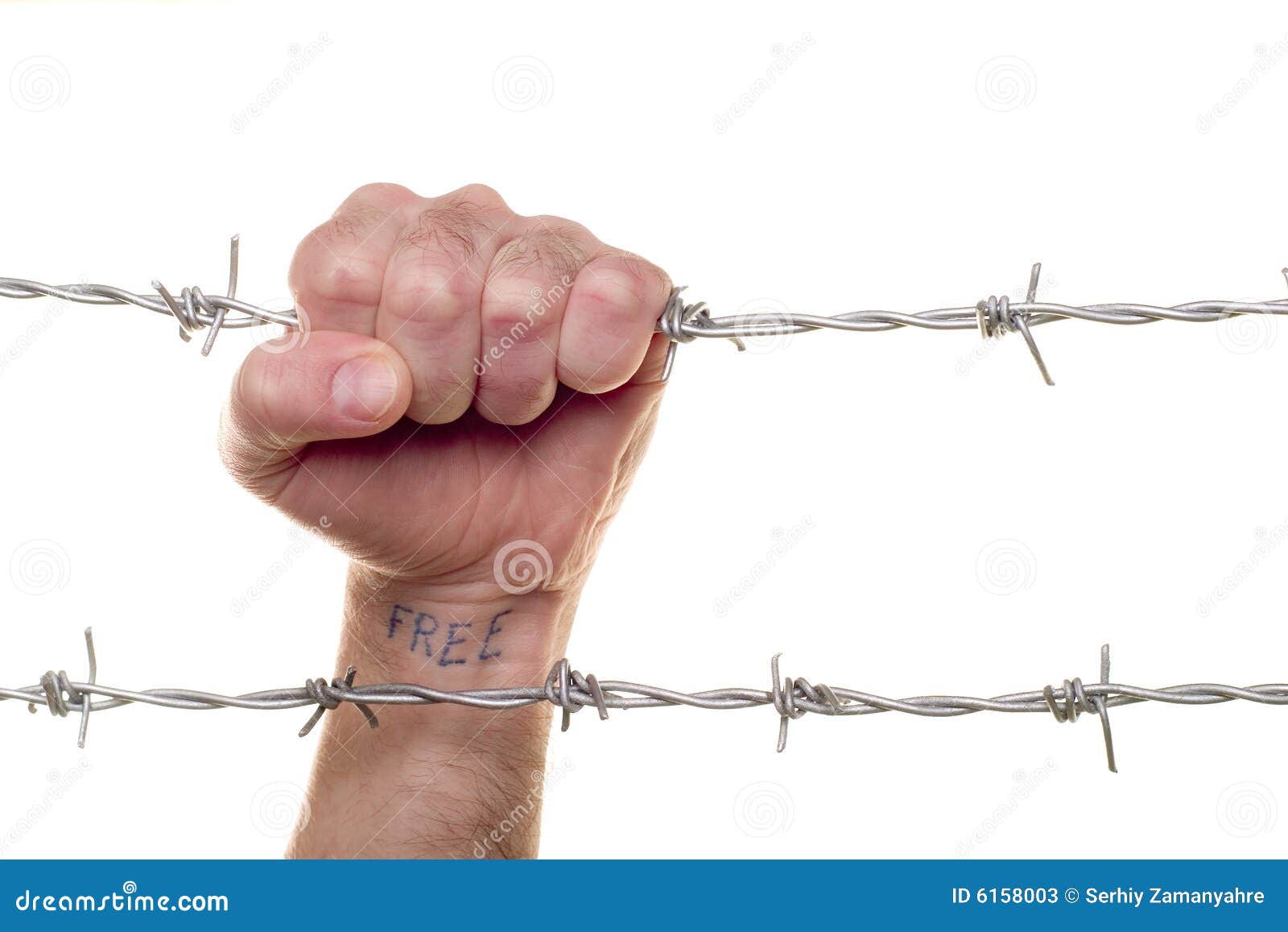 Adult Pix HQ - Fist in barbed wire in wire Fist barbed