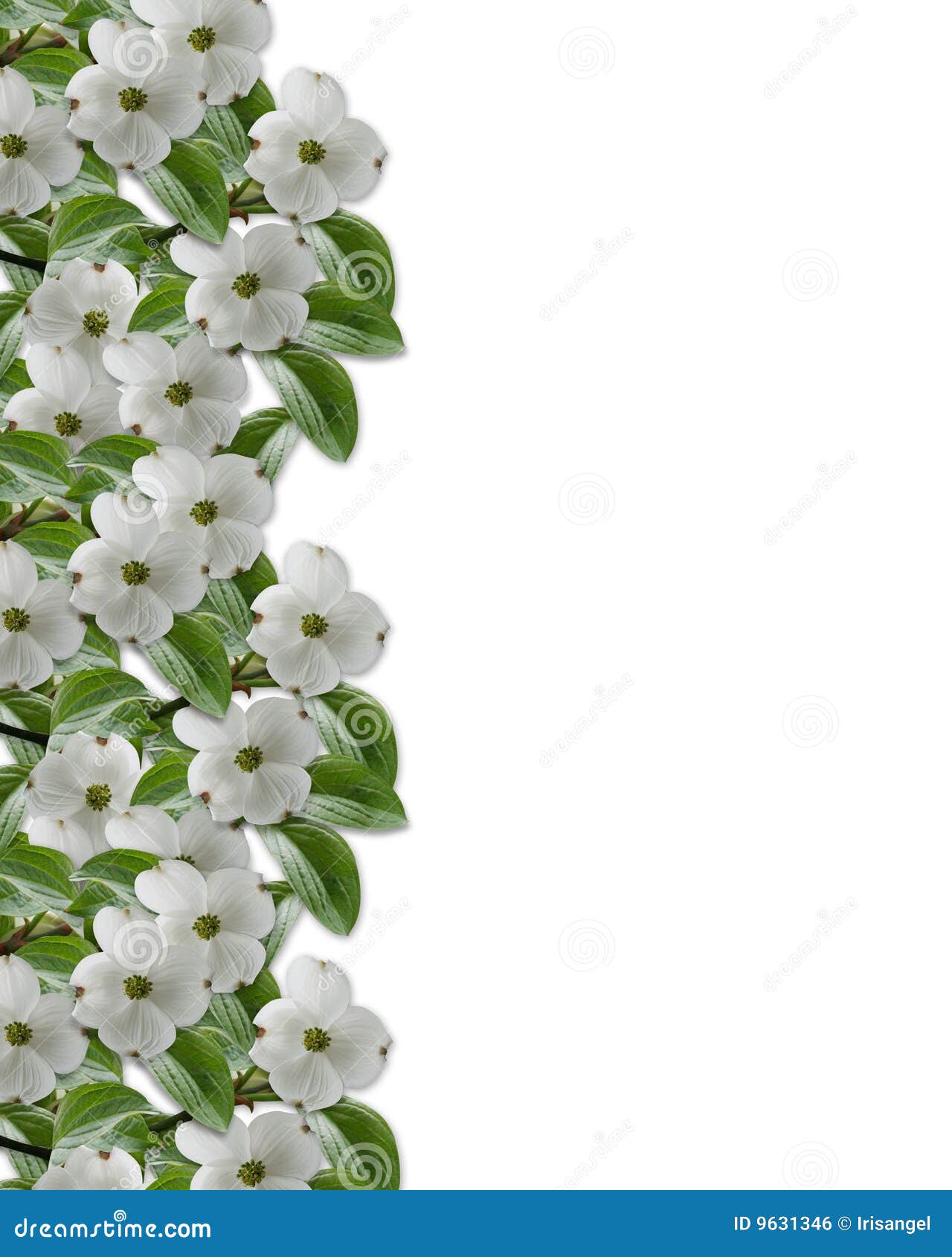 free clip art dogwood flower - photo #50