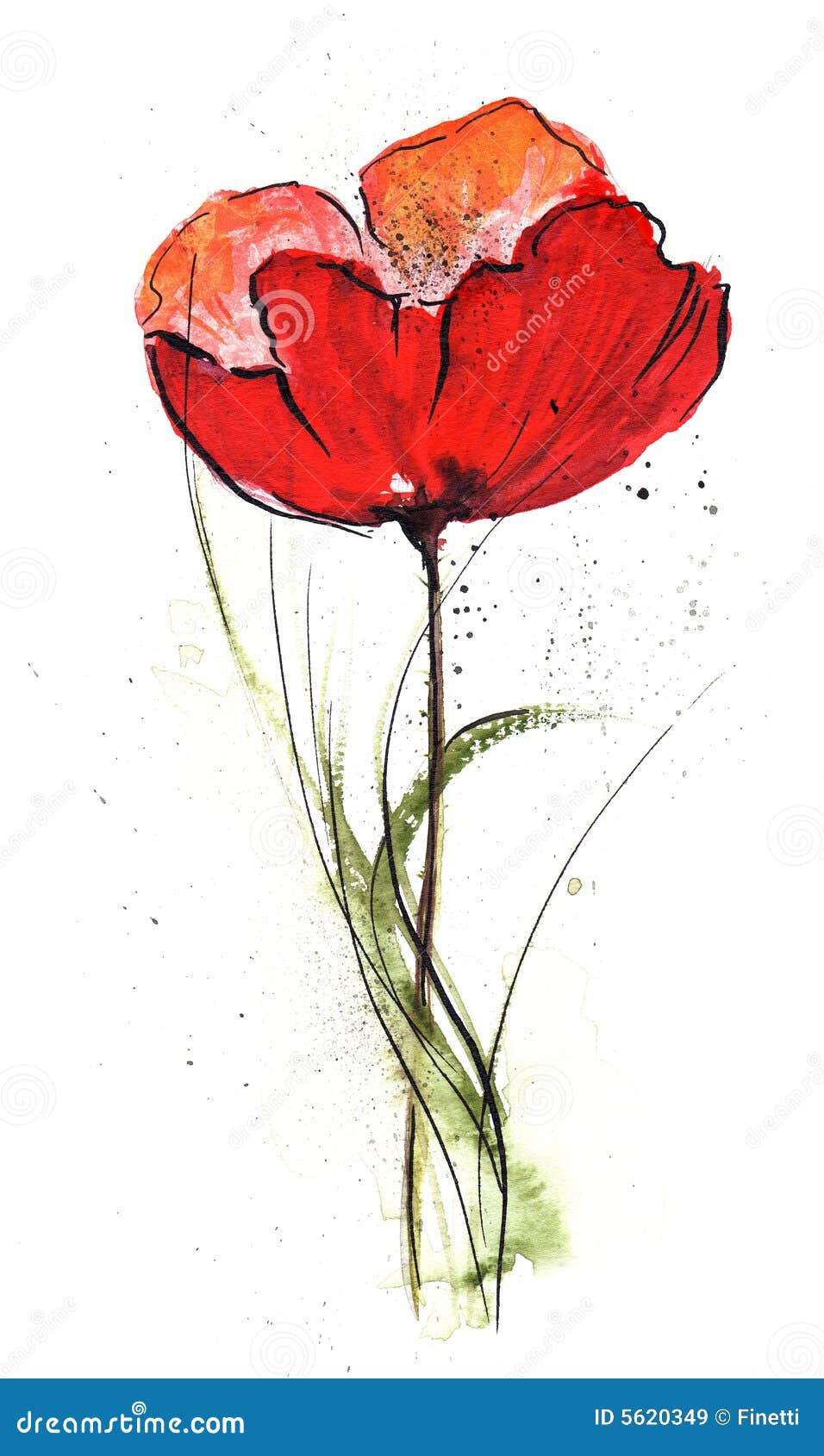 floral design with poppy flower royalty free stock images floral design with poppy flower royalty free stock images