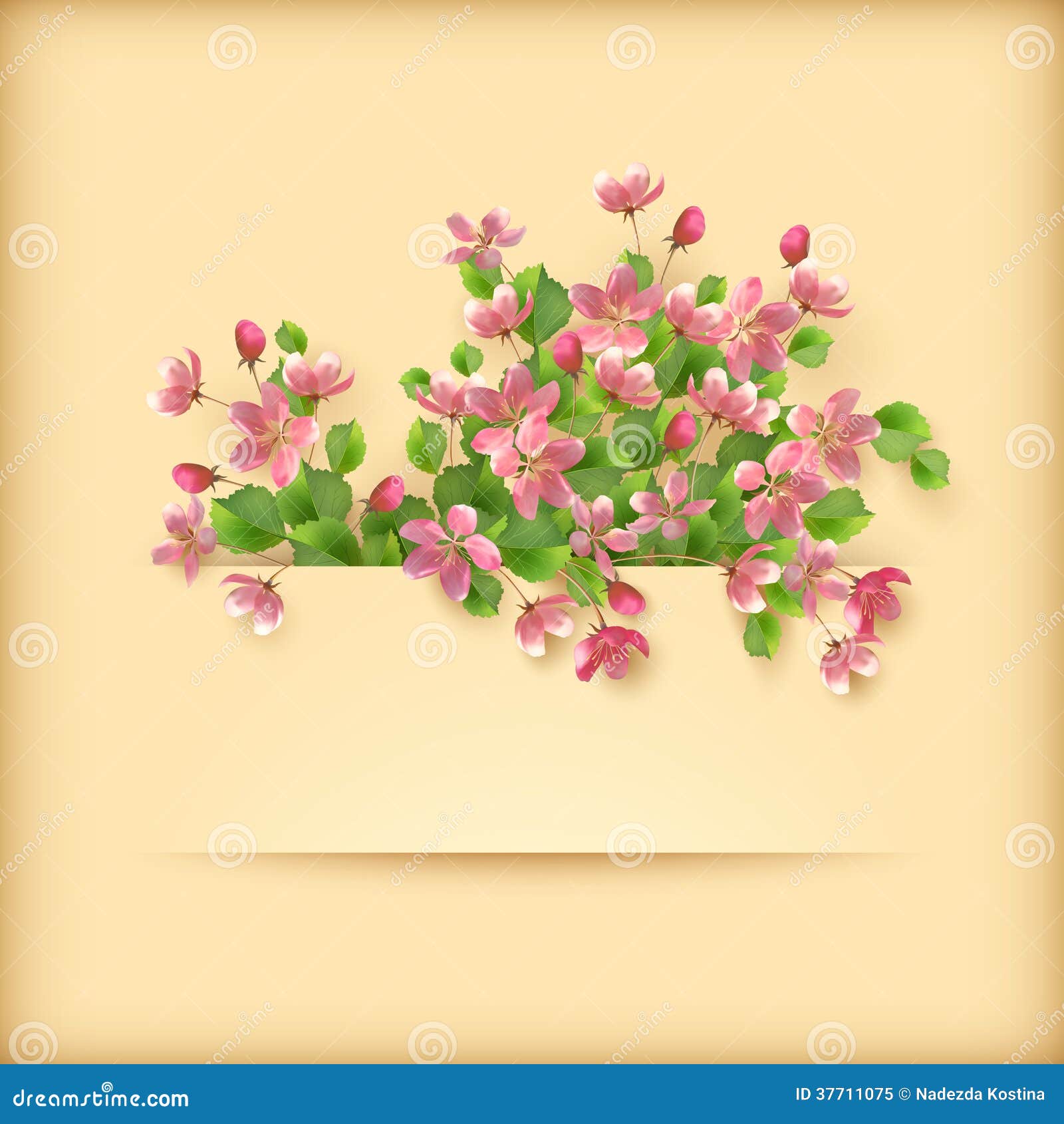 Greeting Card with Pink Flowers Greeting Card with Pink Flowers