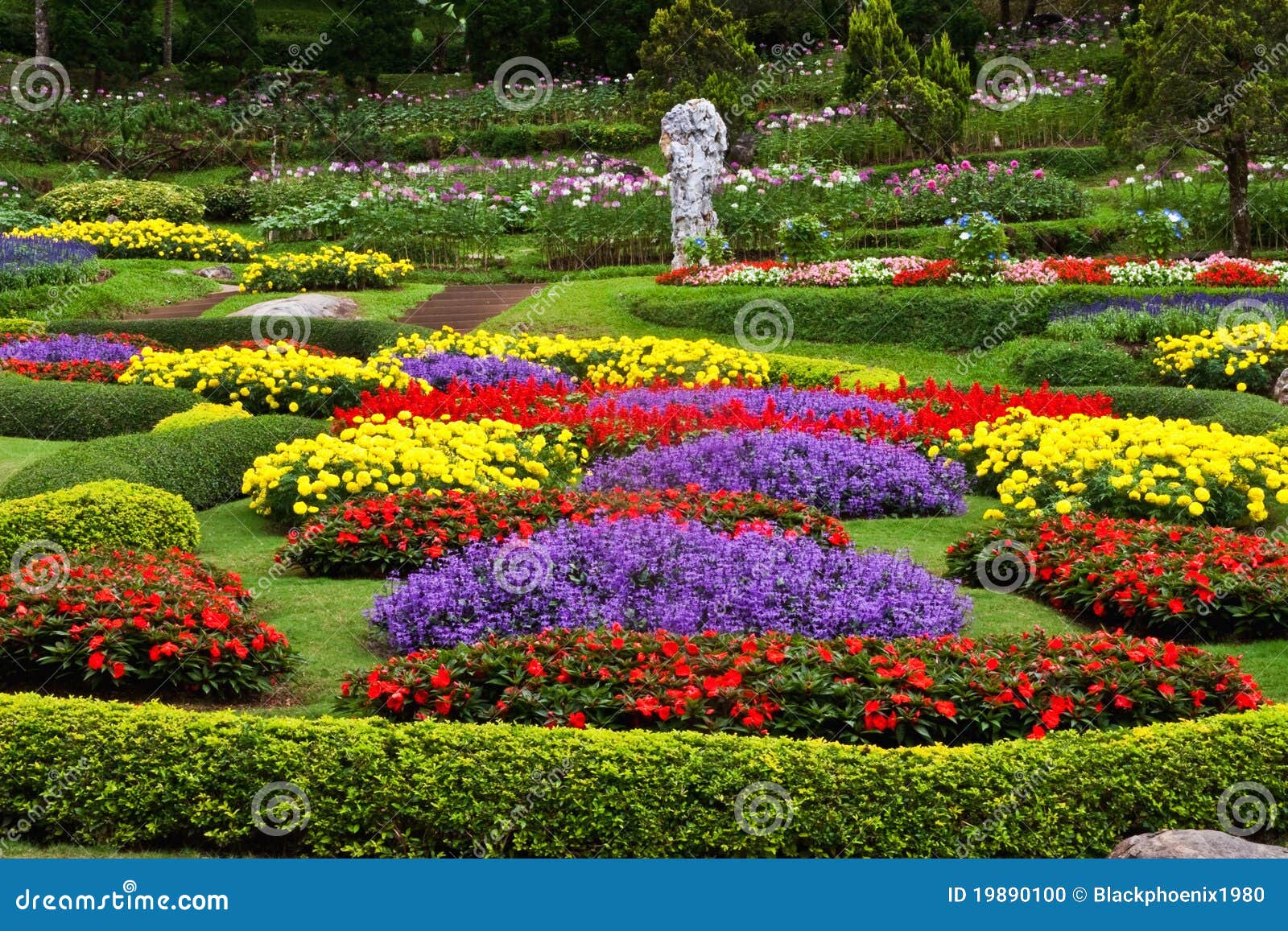 Beautiful Flower Garden Photography