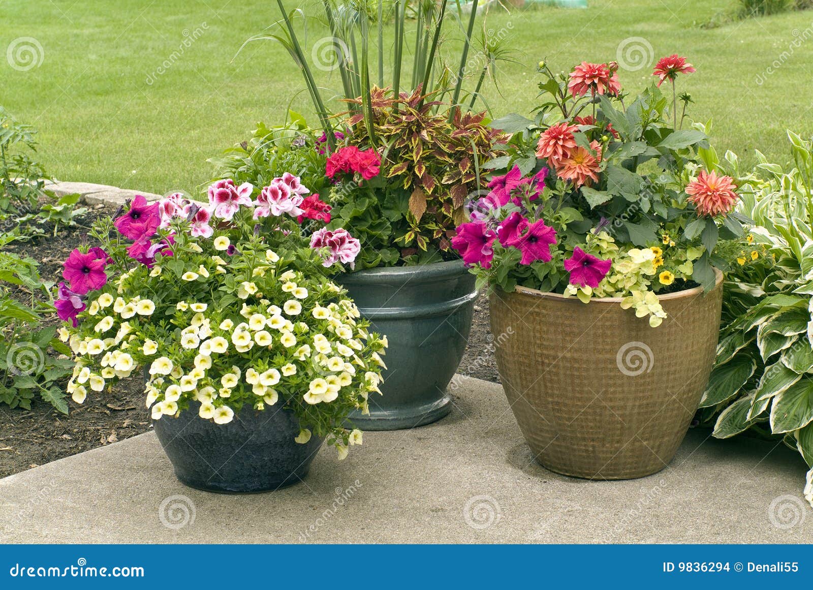 Pictures+of+Beautiful+Flower+Pots ... sizes of ceramic flower pots with colorful flowers in full blossom