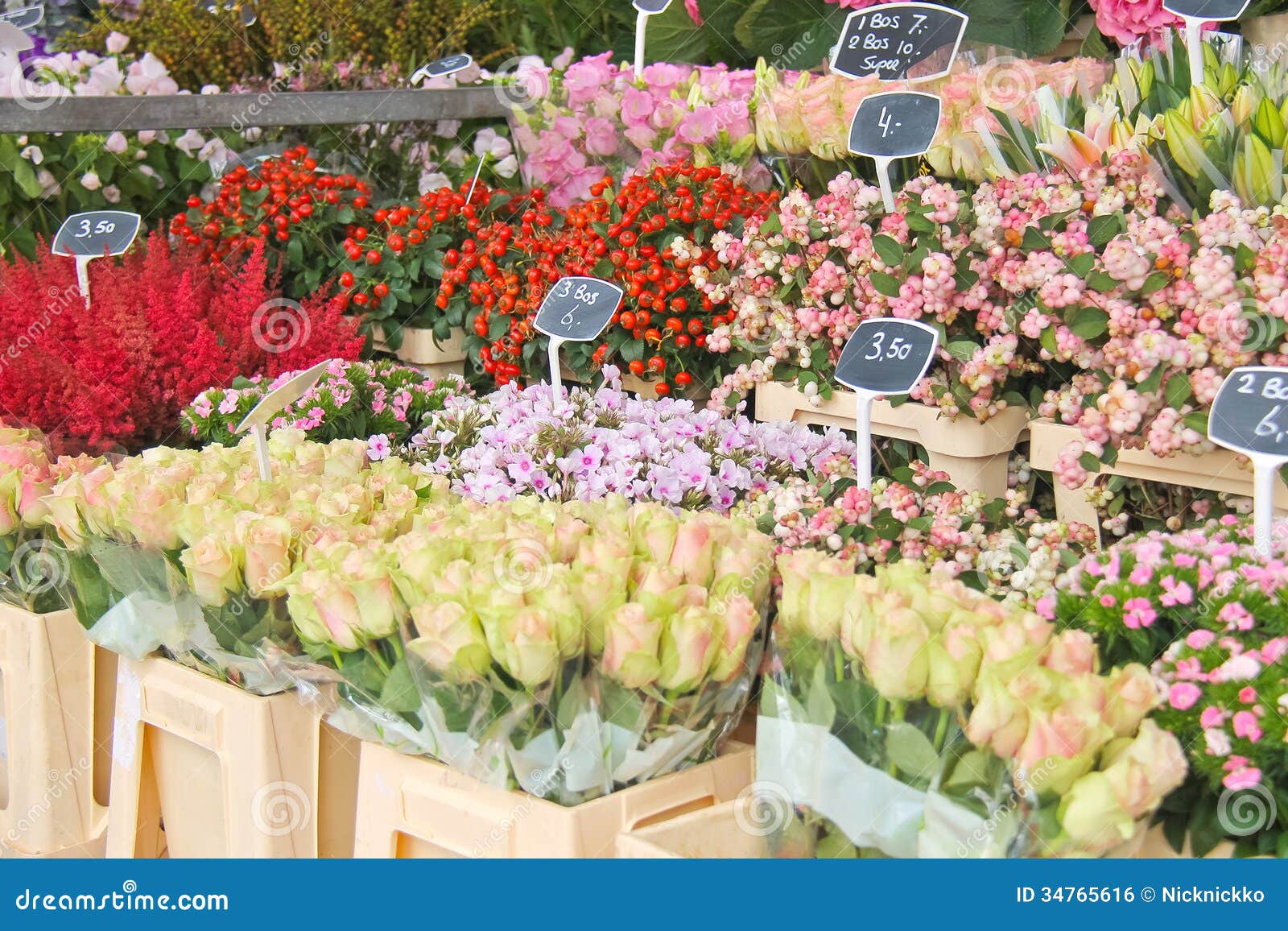 Flowers for sale at a Dutch flower market, Netherlands.