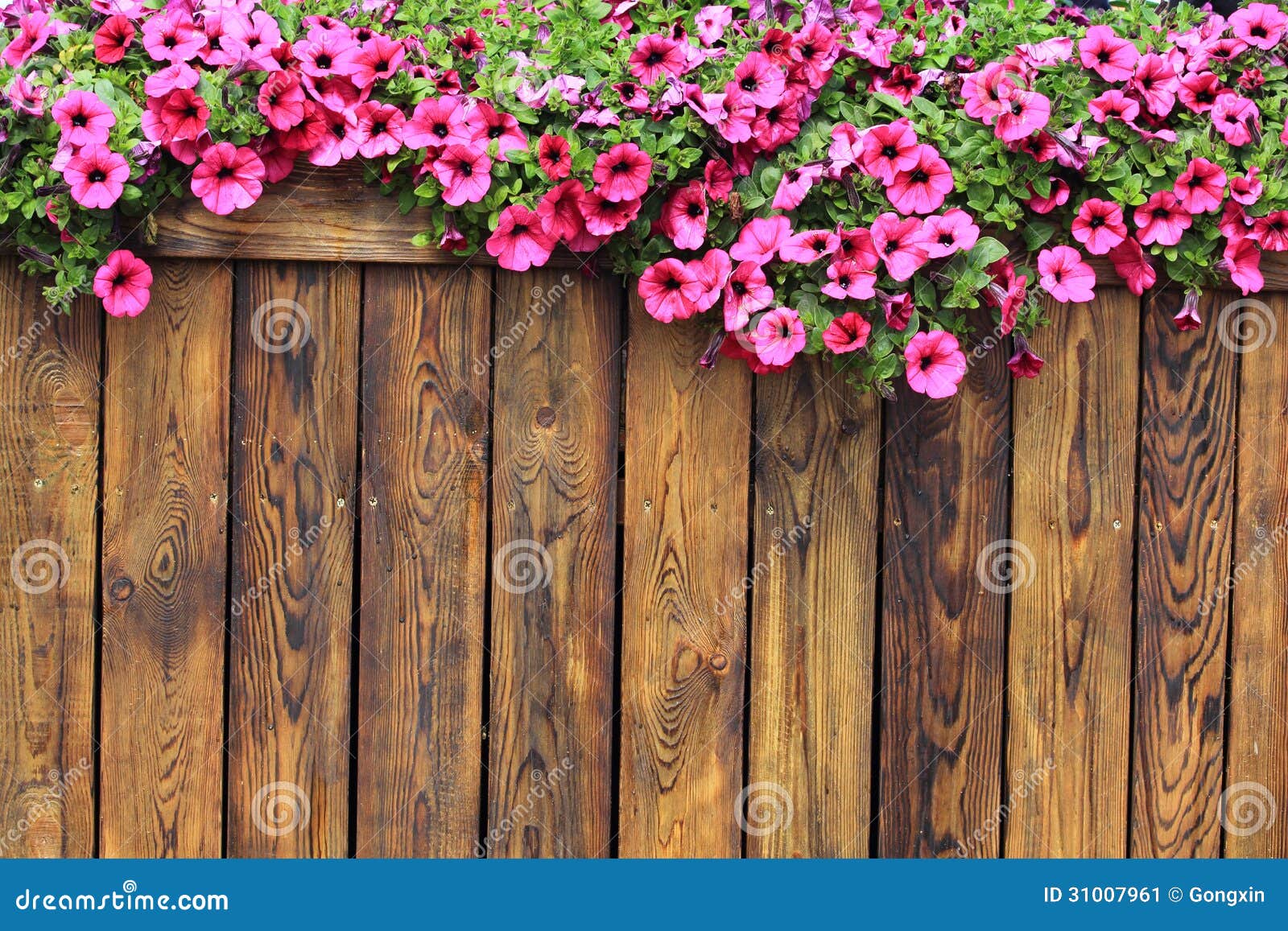 Flowers Wood Texture Background Stock Image - Image: 31007961