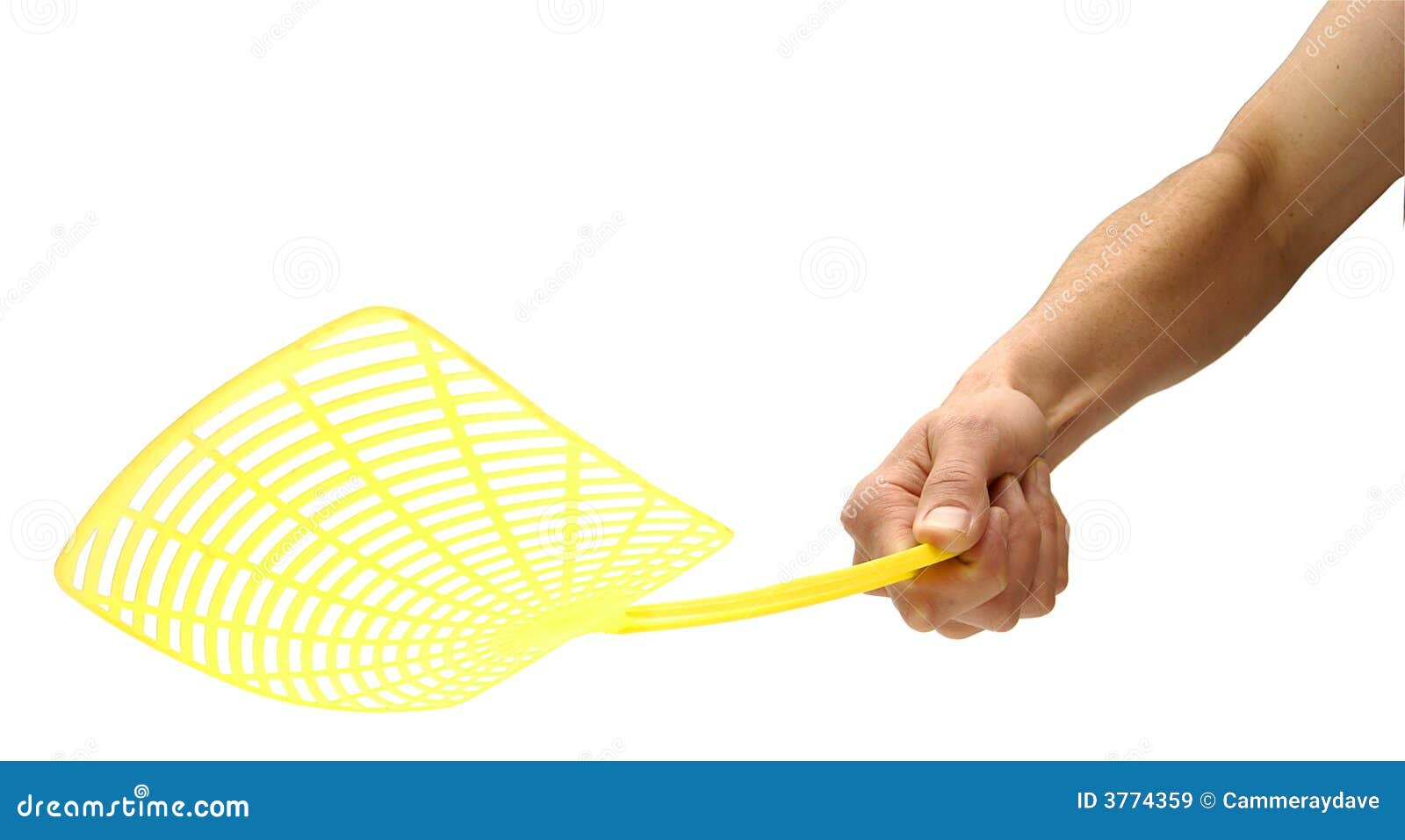 fly swatter clip art - photo #38