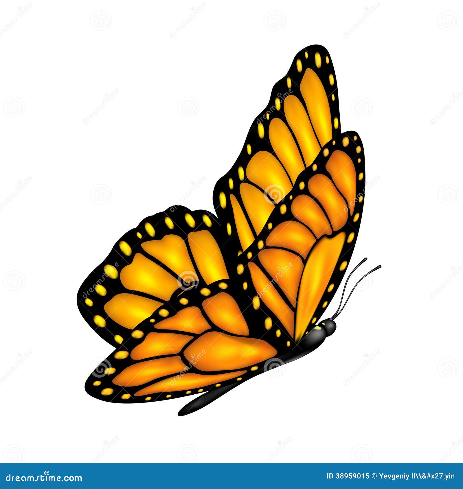 butterfly clipart no background - photo #44