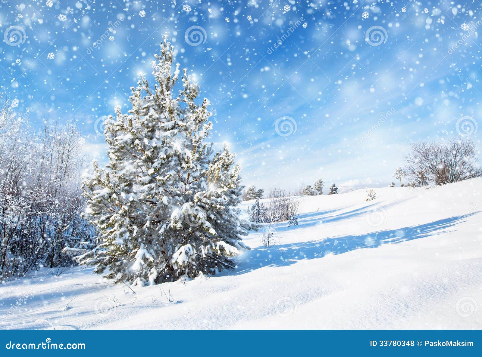 Photos libres de droits: Fond d hiver avec le sapin