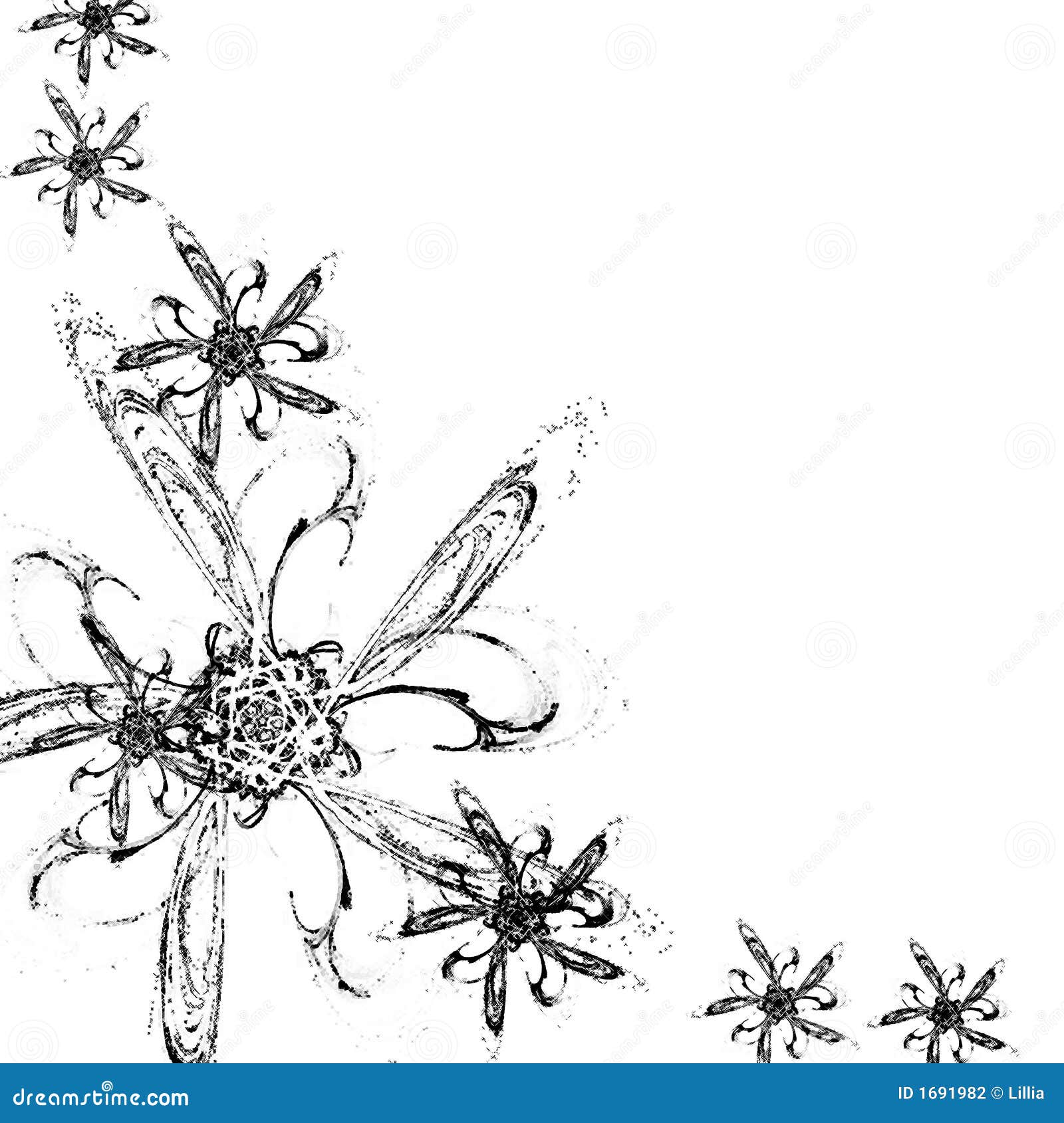 Fondo Blanco Y Negro Con Las Flores Fotografía de archivo - Imagen ...