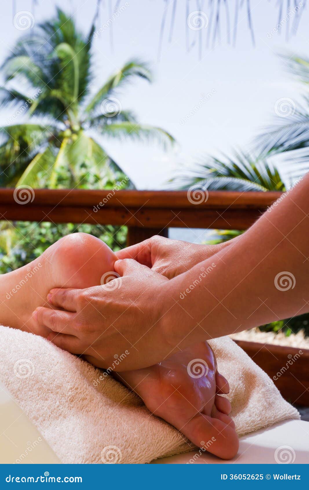 palm tree massage foot stuart palm tree massage foot stuart