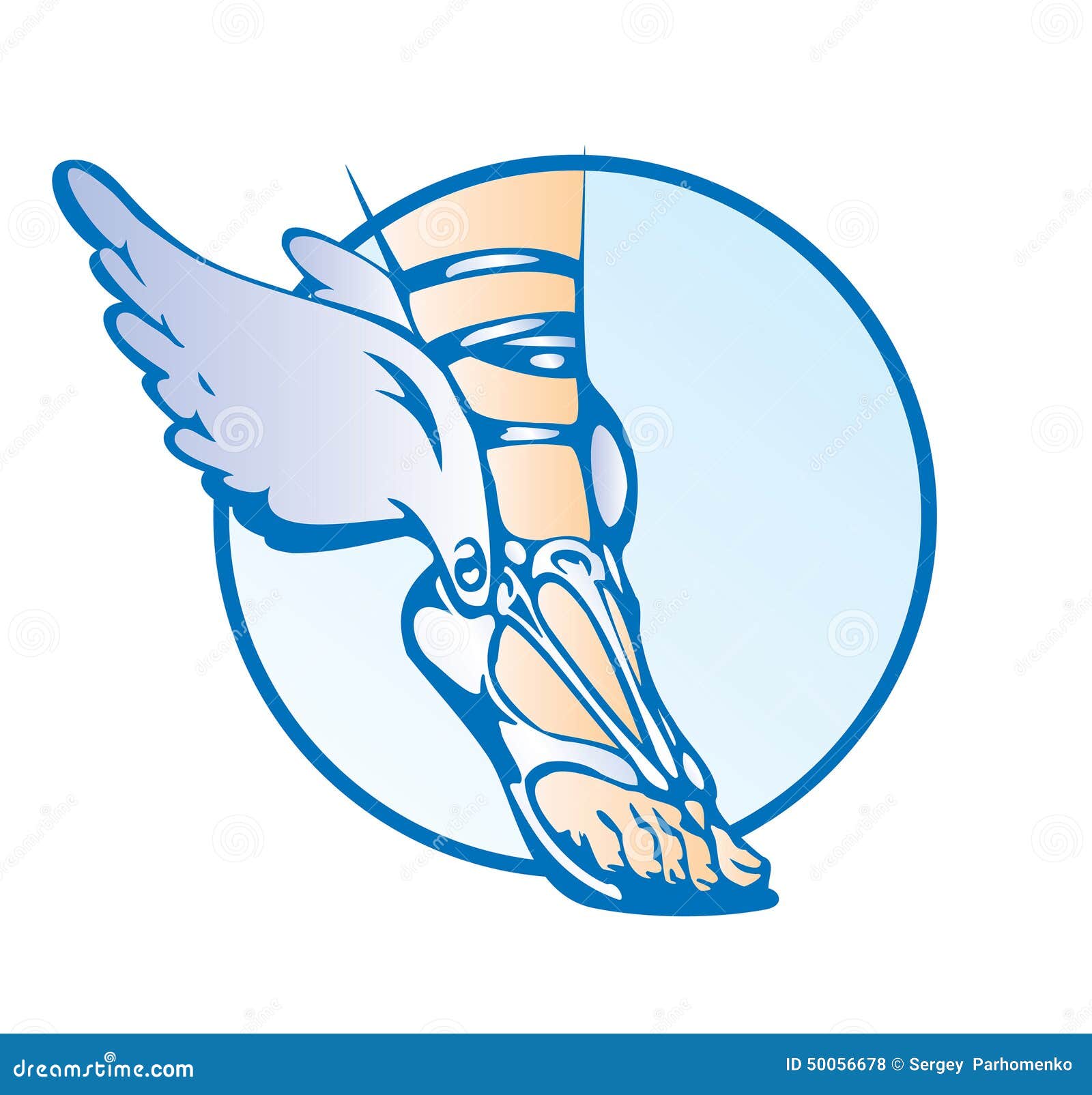 http://thumbs.dreamstime.com/z/foot-winged-sandals-ancient-heroes-50056678.jpg