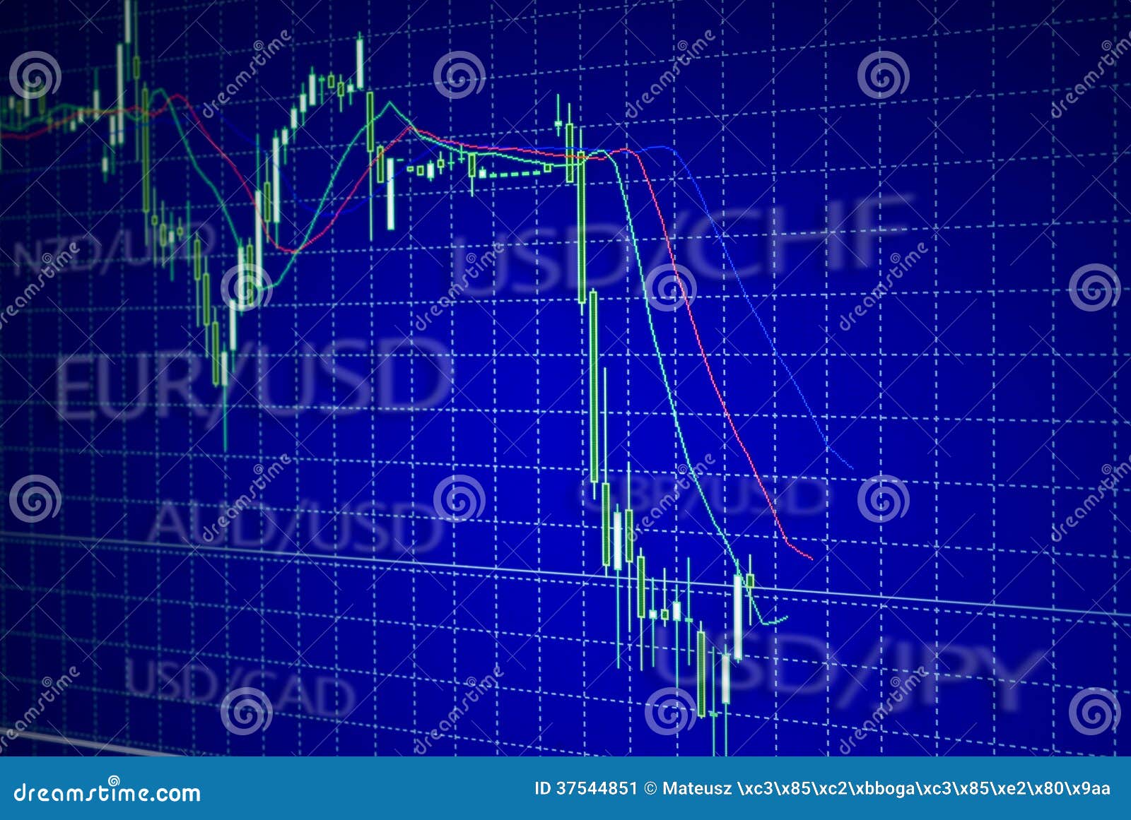 forex or the stock market