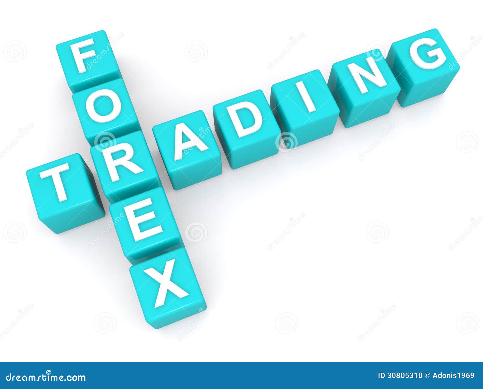 forex trading words