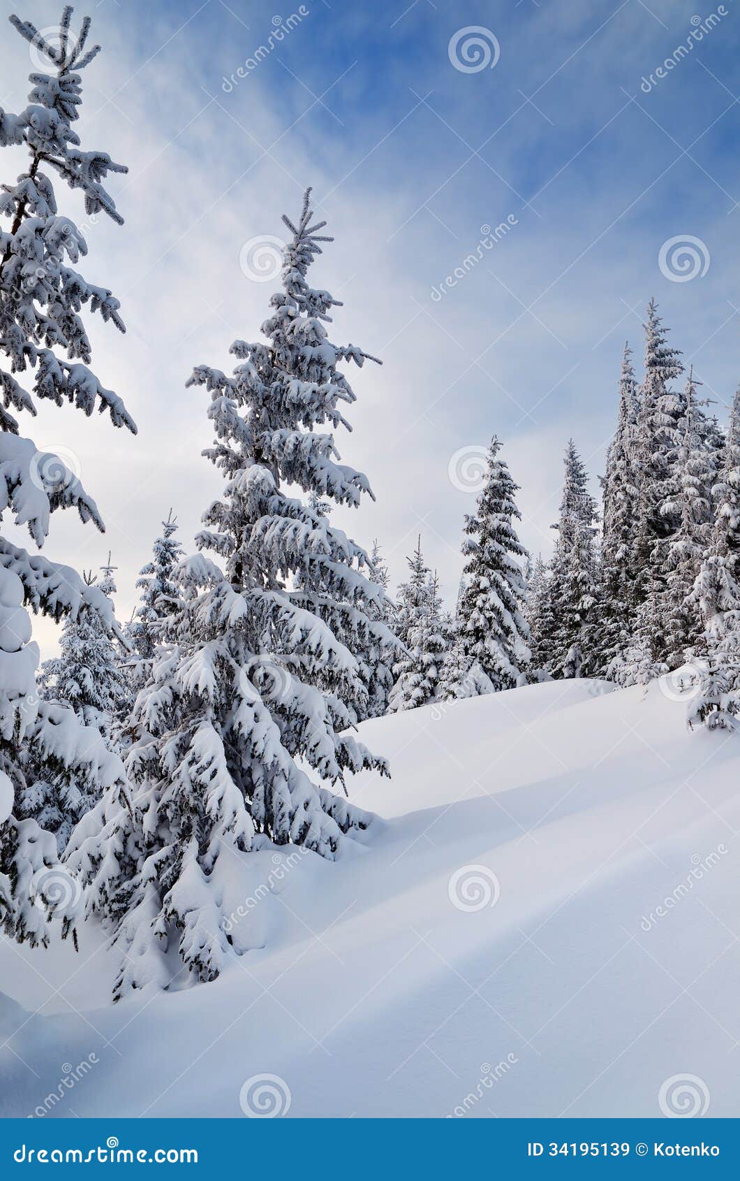 Paysage d'hiver avec des sapins sous la neige.
