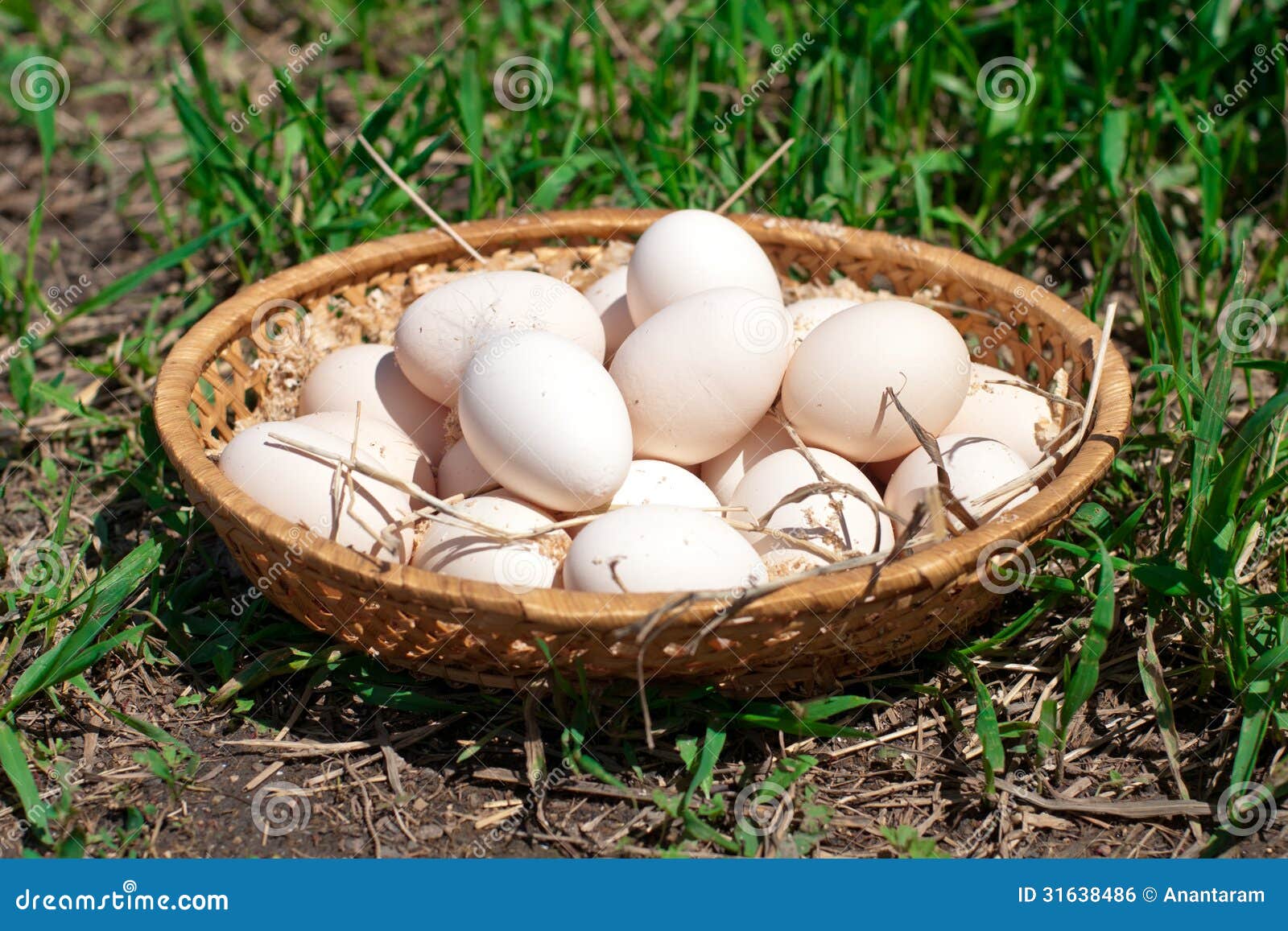 Fresh chicken eggs in a basket on a summer farm.