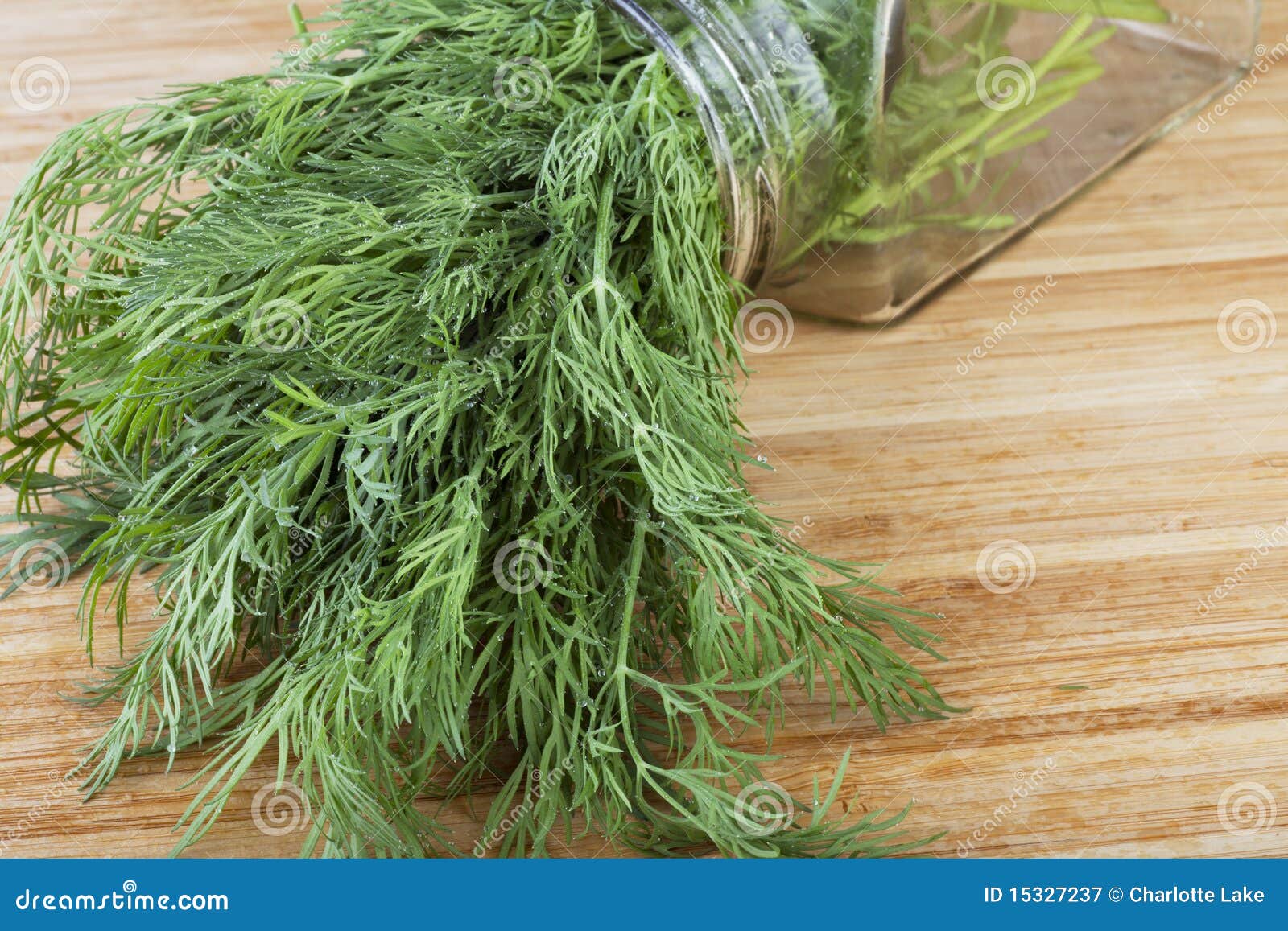 Fresh Dill Royalty Free Stock Photography Image 15327237