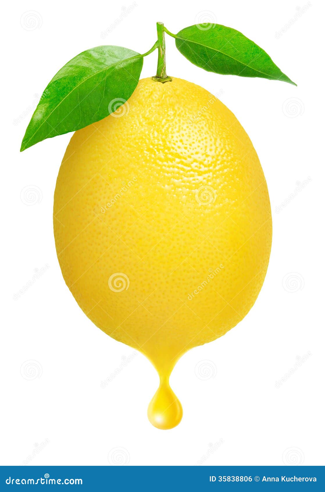 lemon drop clipart - photo #18