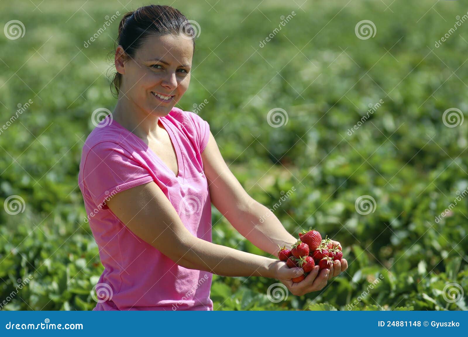 нахтігаль в питаннях і відповідях 2008