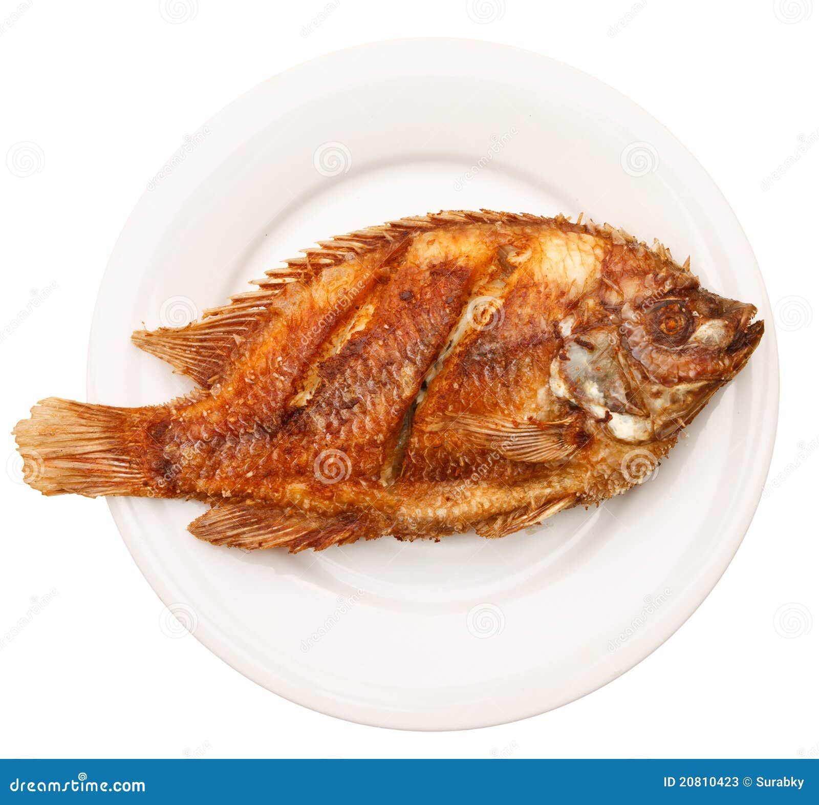 Fried Fish In White Plate Stock Photos Image 20810423 fried-fish-in-white-plate-stock-photos-image-20810423