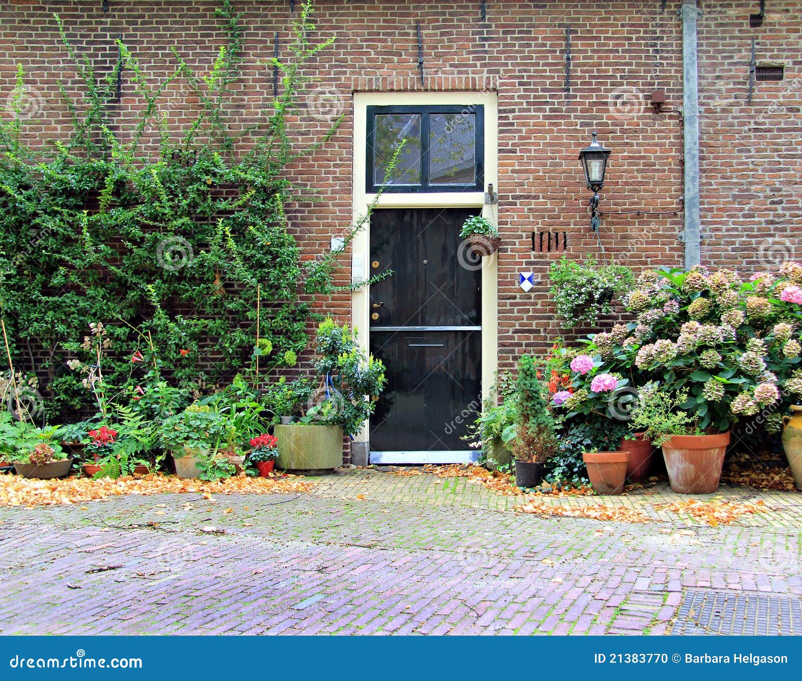 1121 #558546 Front Door Europe Stock Photo Image: 21383770 wallpaper European Front Doors 46251300