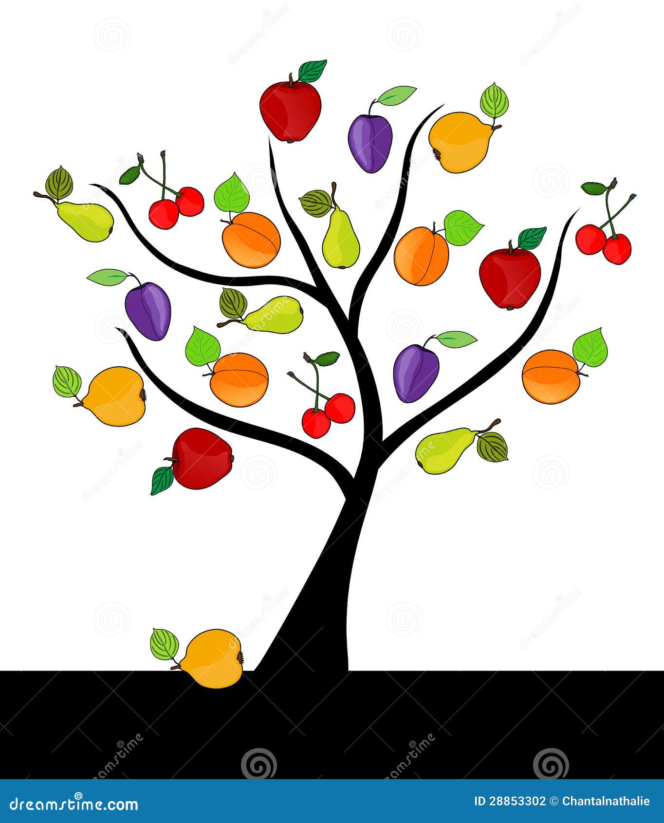 free clipart of fruit trees - photo #46