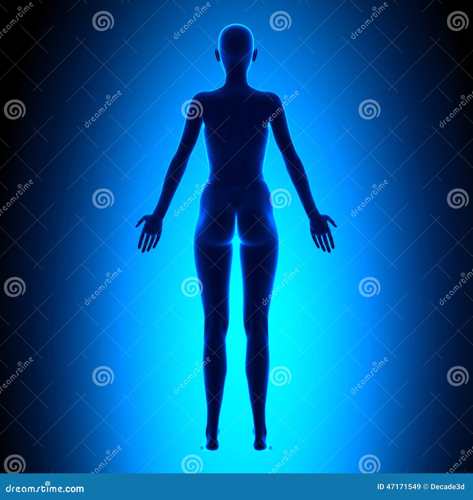 Full Female Body - Back View - Blue Concept Stock Illustration - Image
