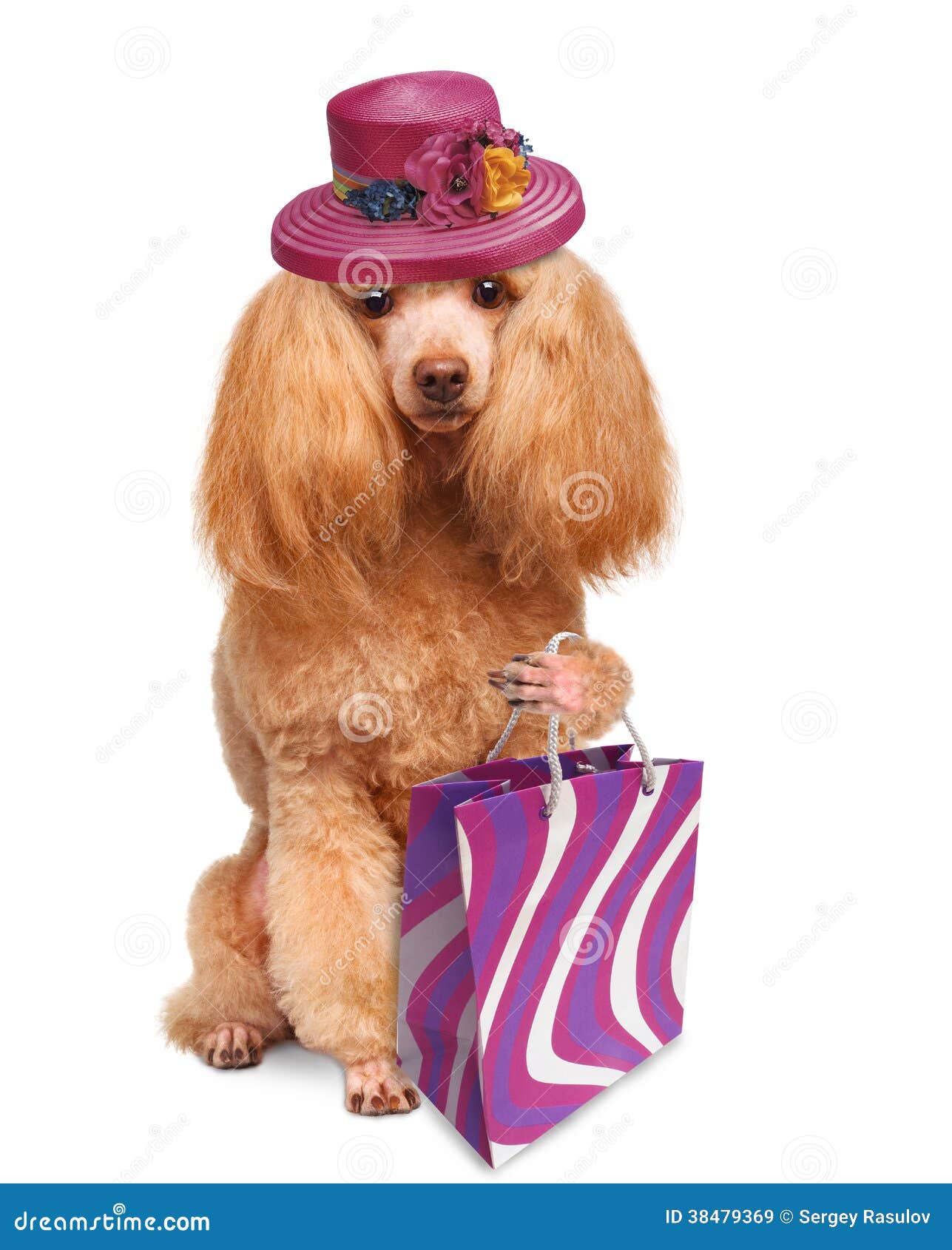 puppy shopping with shopping bags royalty free stock images image 38479369 puppy shopping with shopping bags royalty free stock images image 38479369
