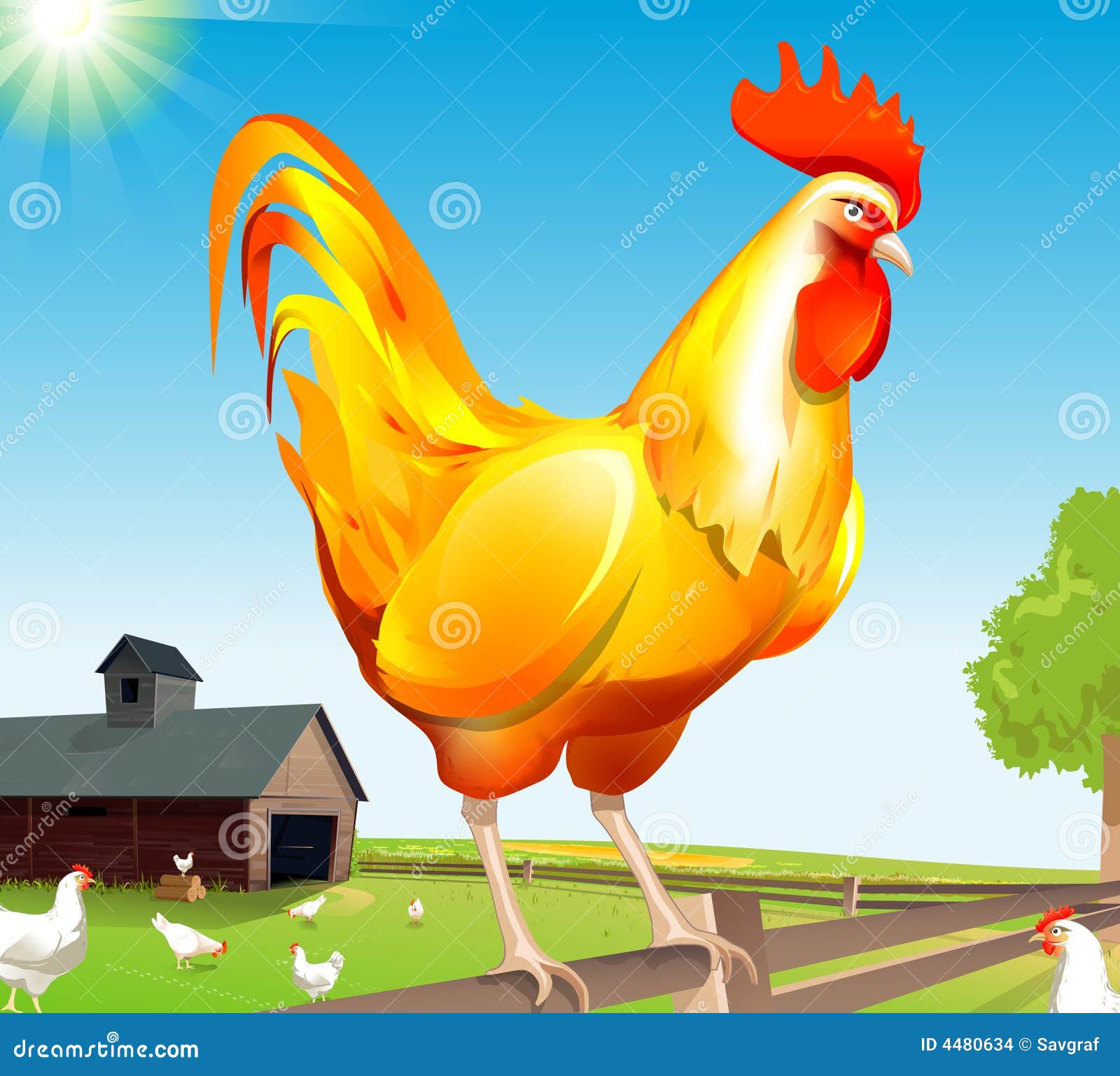 GALLO DE ORO IMAGENES gallo de oro imagenes: