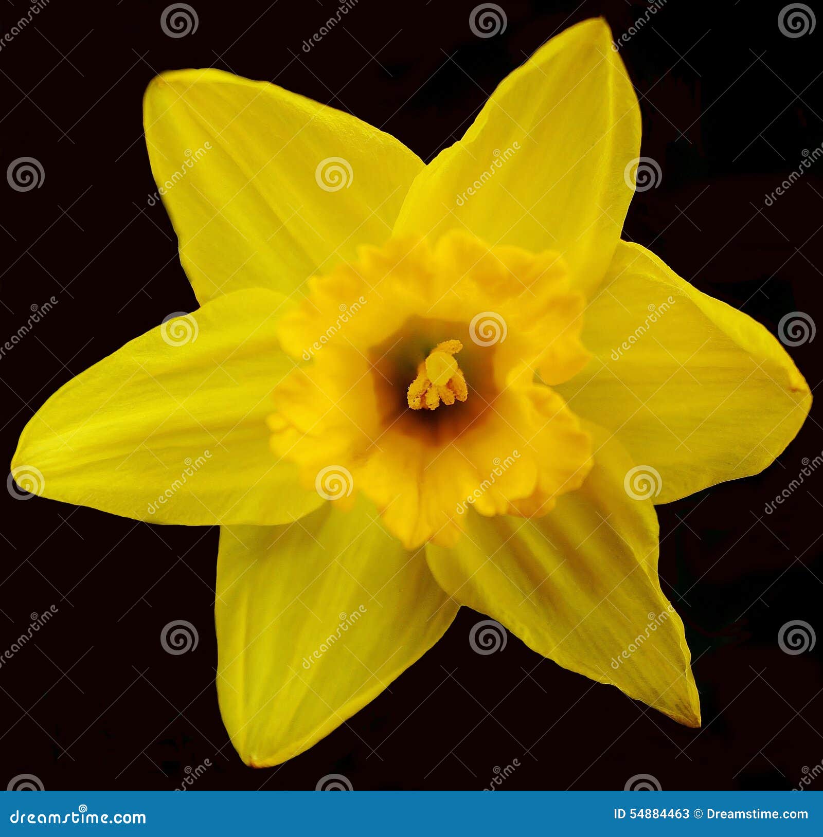 garden plain christian singles Free christian dating site, over 130,000 singles matched join now and enjoy a safe, clean community to meet other christian singles. garden plain christian singles Free christian dating site, over 130,000 singles matched join now and enjoy a safe, clean community to meet other christian singles.