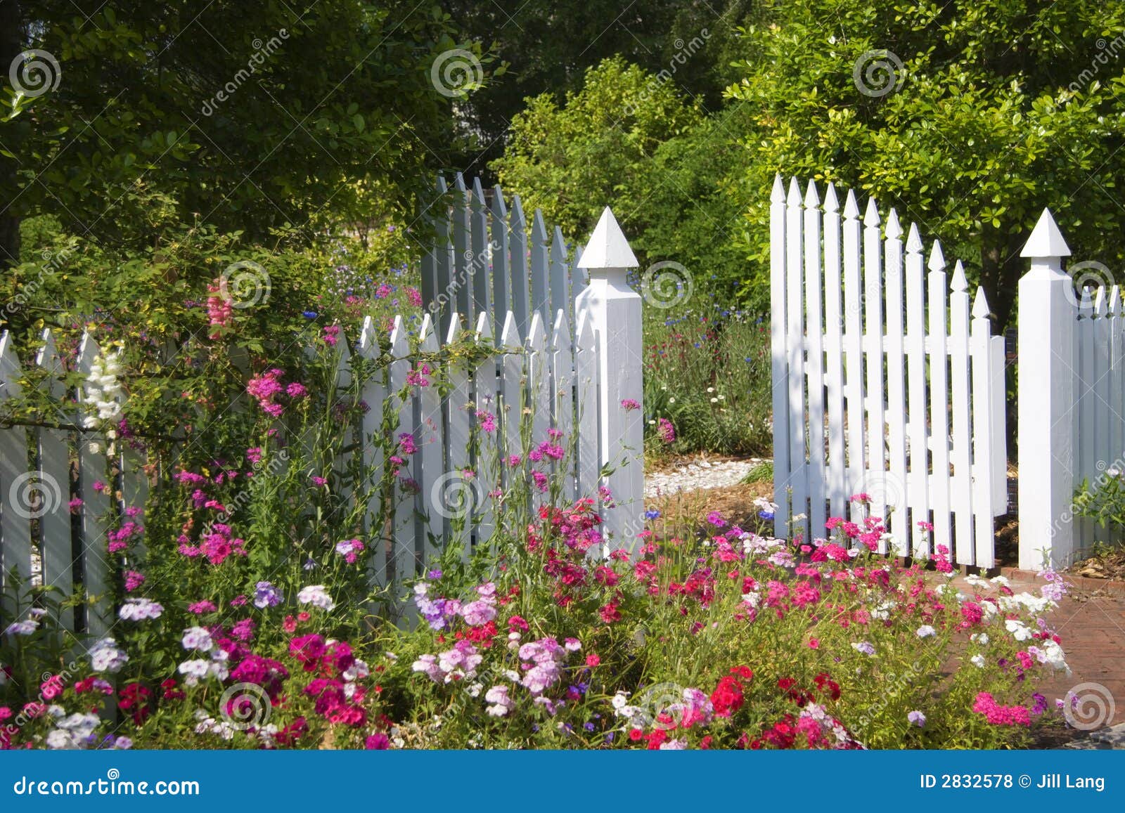 White Picket Fence and Garden Gate with Multi-Colored Flowers.