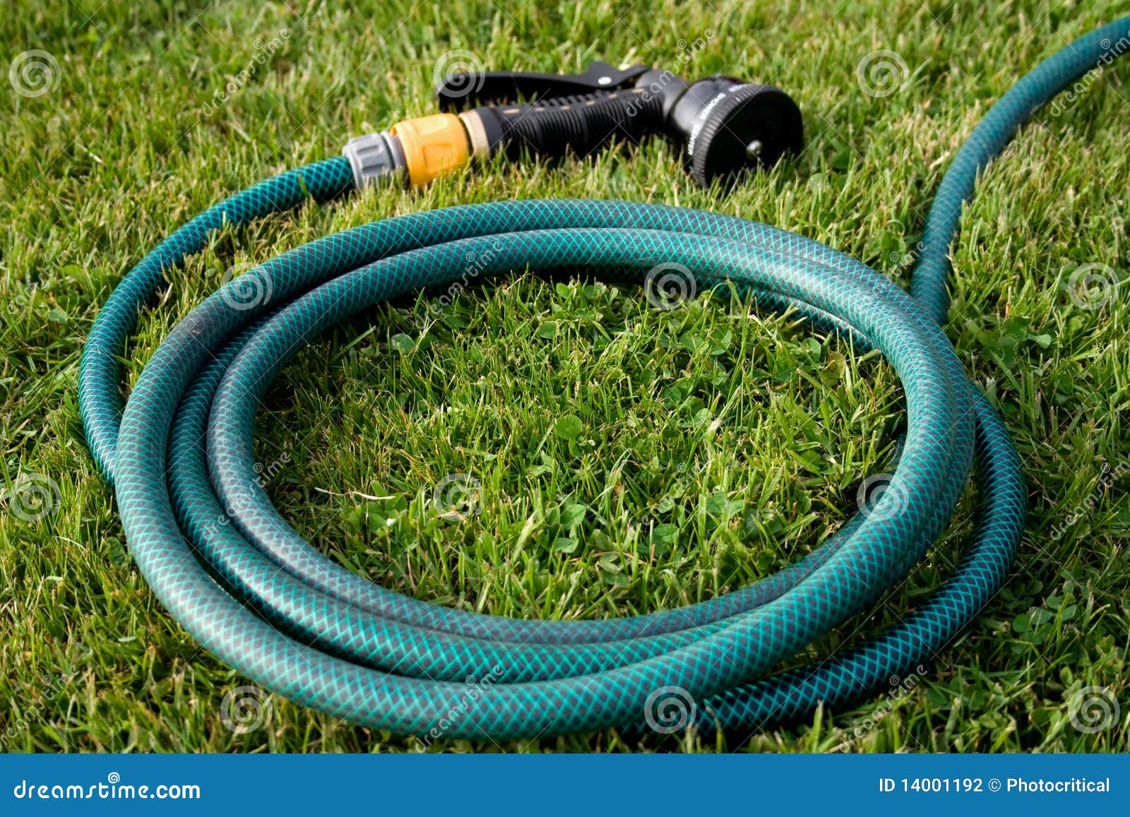 Garden Hose