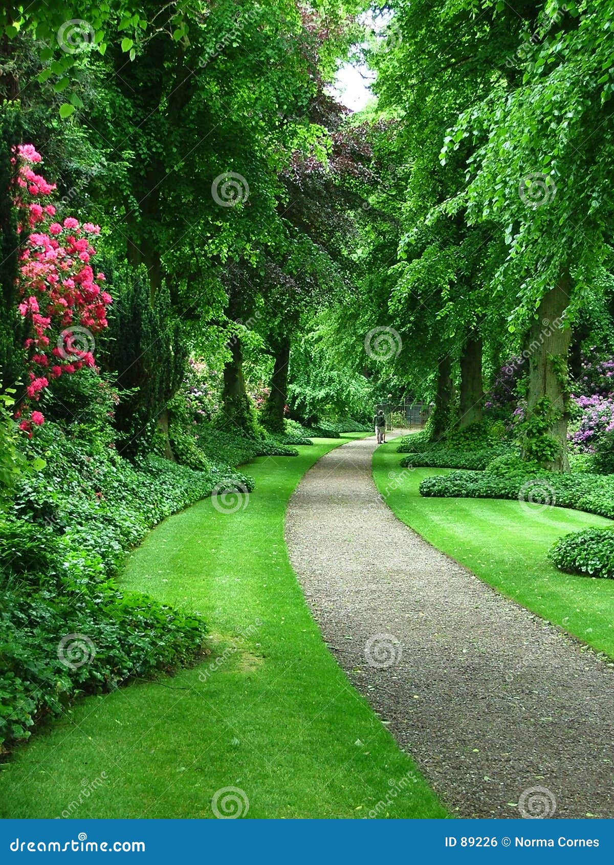 Beautiful Flower Garden Path