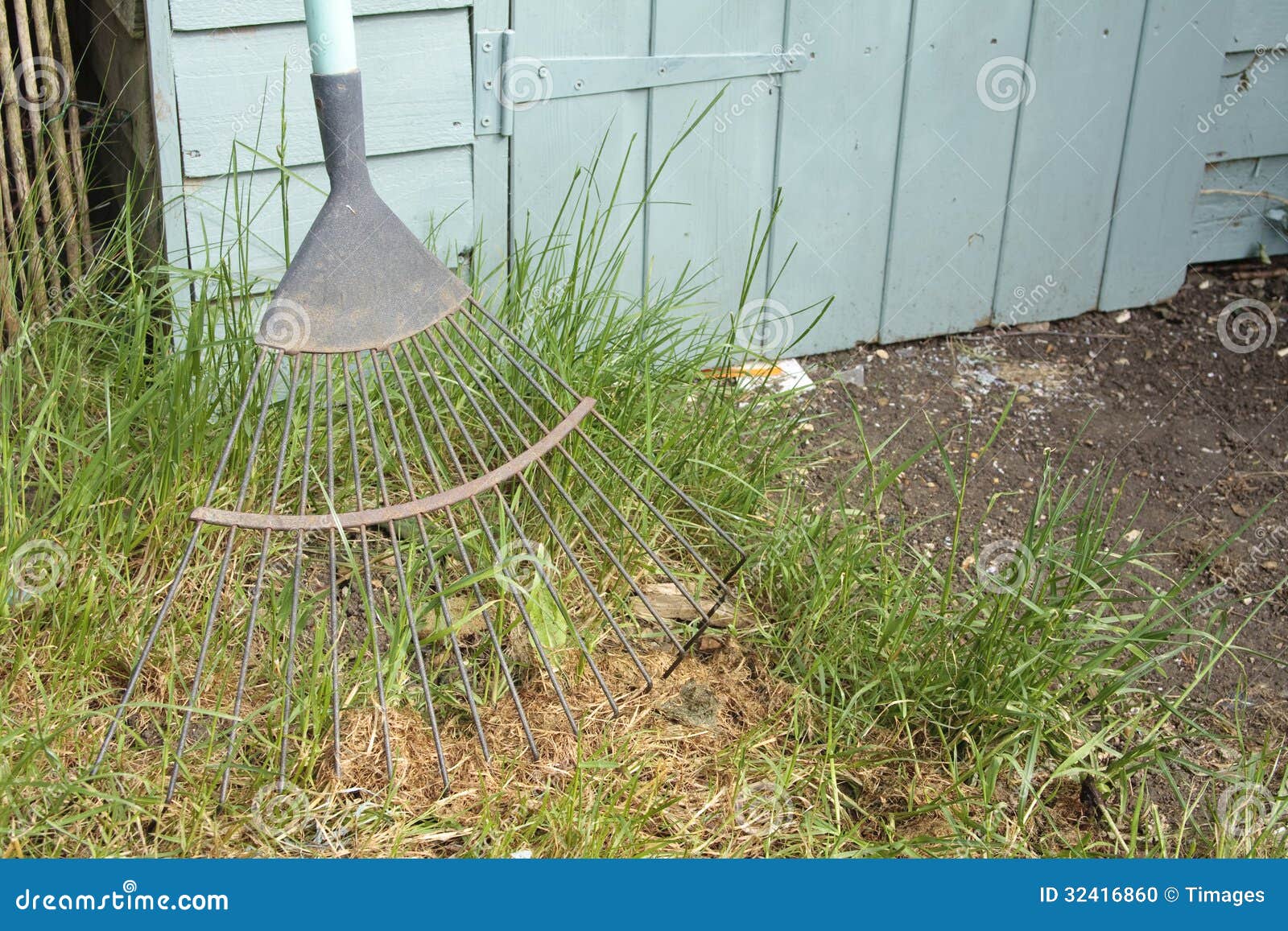 garden rake resting against a shed in overgrown grass.