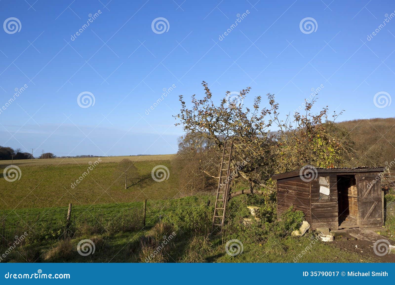 garden shed and apple tree with ladder overlooking the yorkshire ...