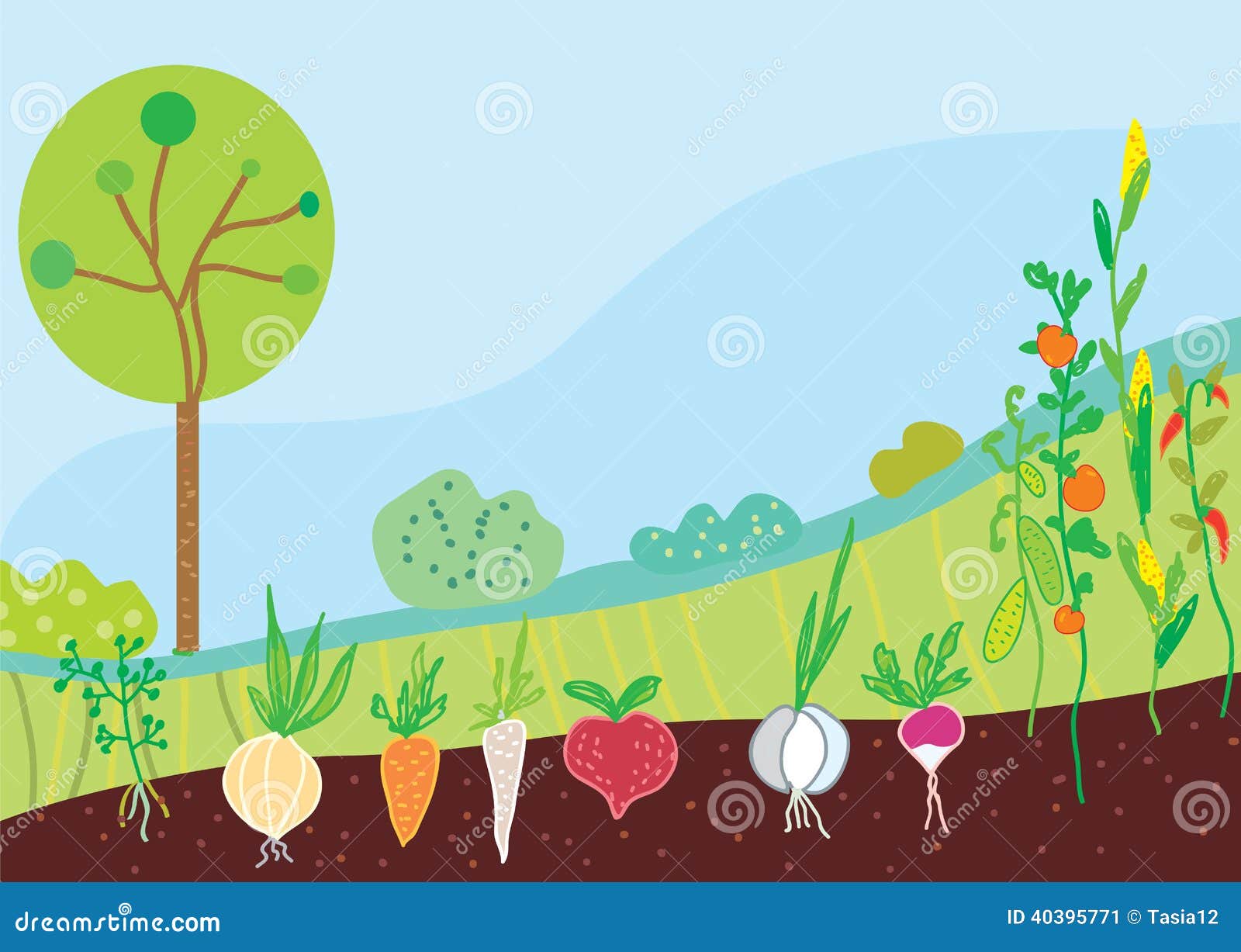 Garden In Spring With Vegetables Stock Vector - Image ...
