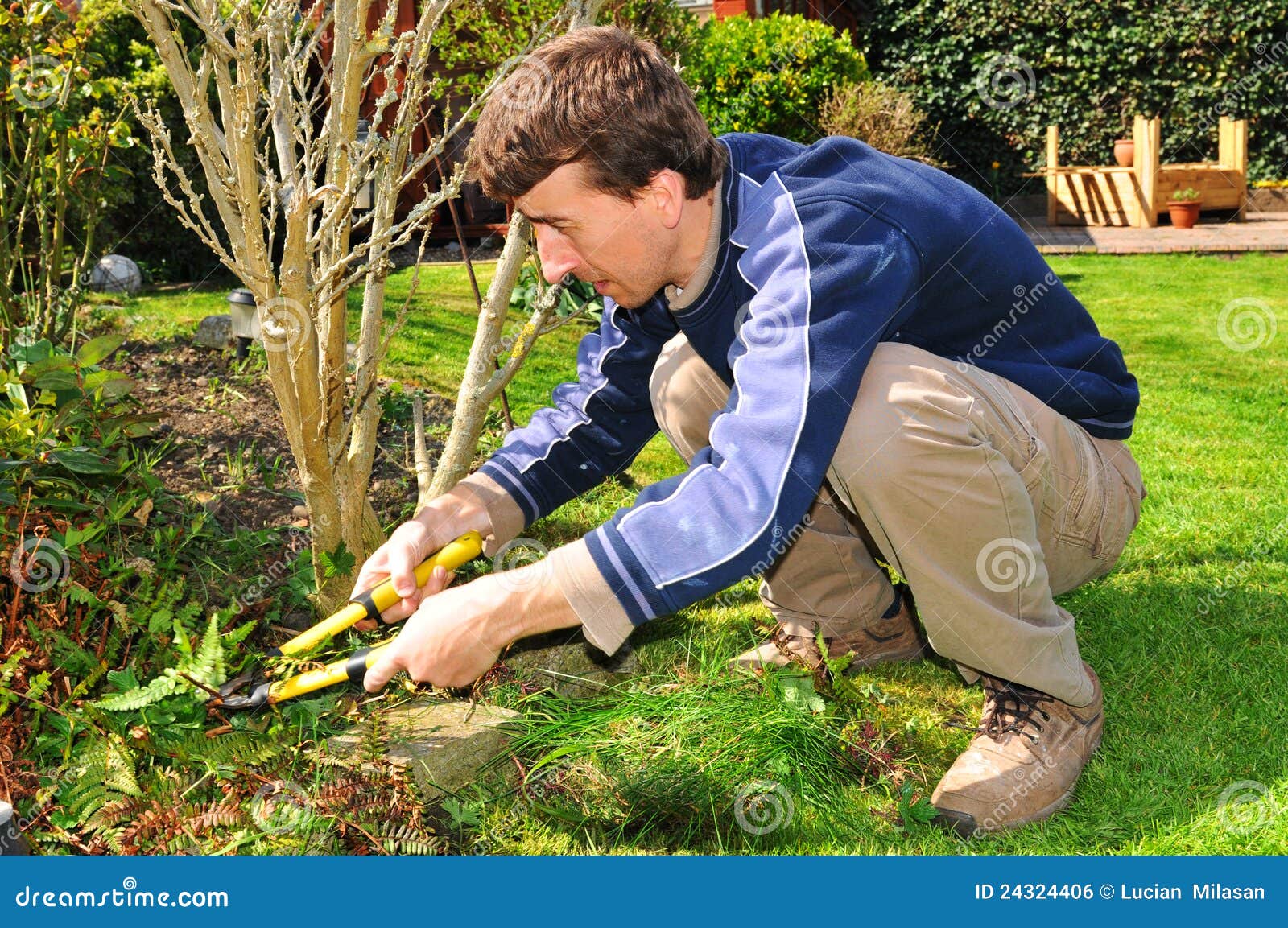 gardener