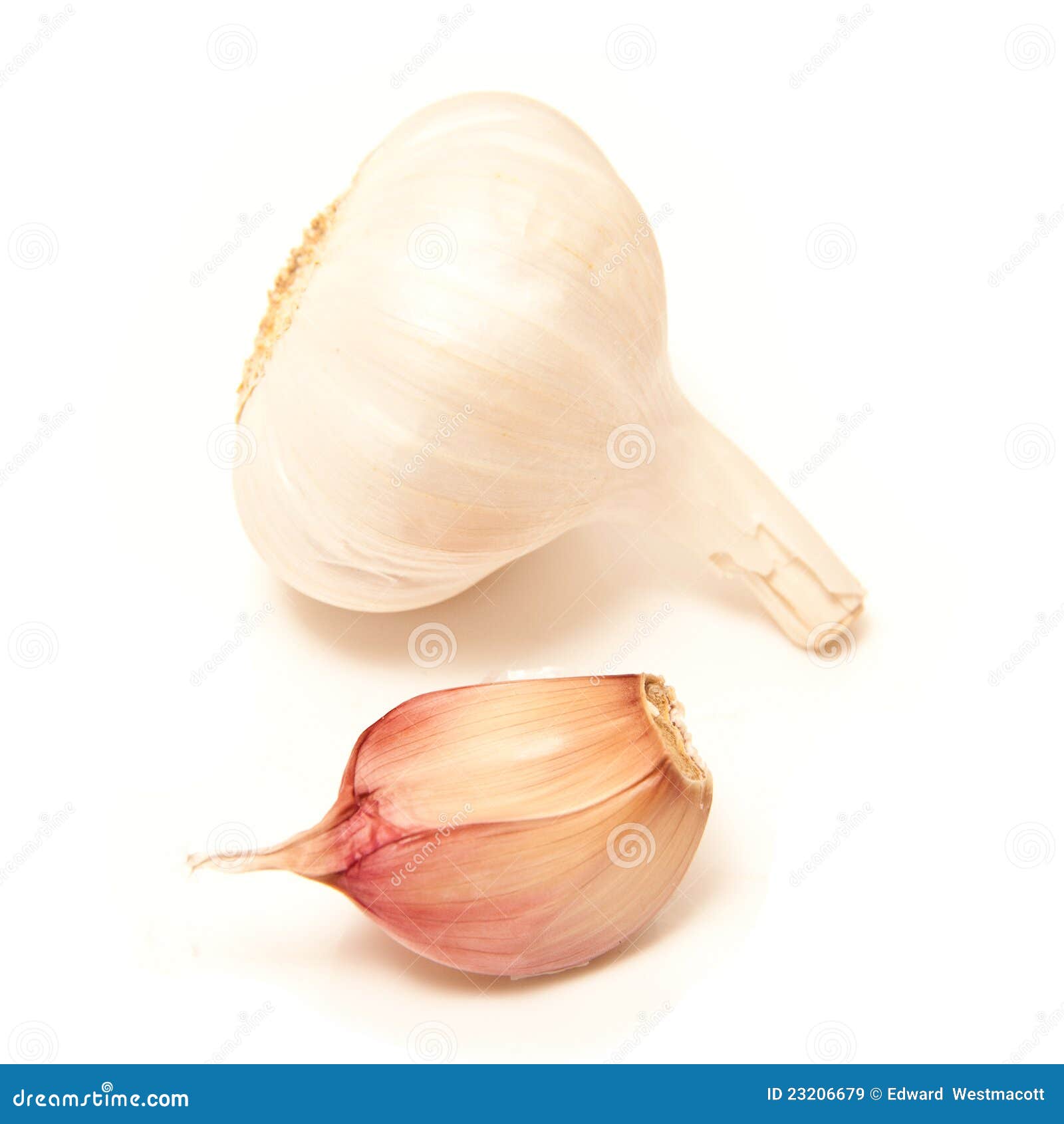 Garlic Bulb And Clove ...