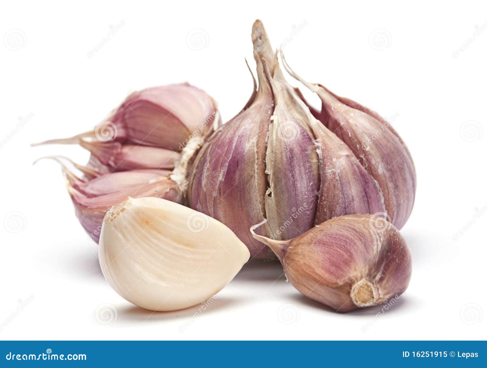 garlic vegetable royalty free stock photo image 16251915 garlic vegetable royalty free stock photo image 16251915