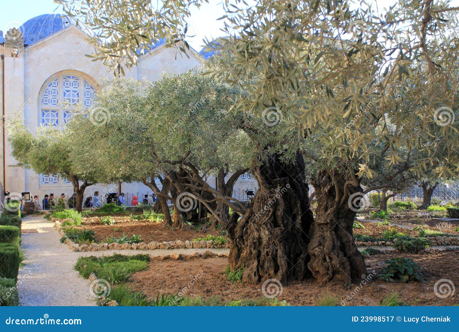 free clipart garden of gethsemane - photo #36